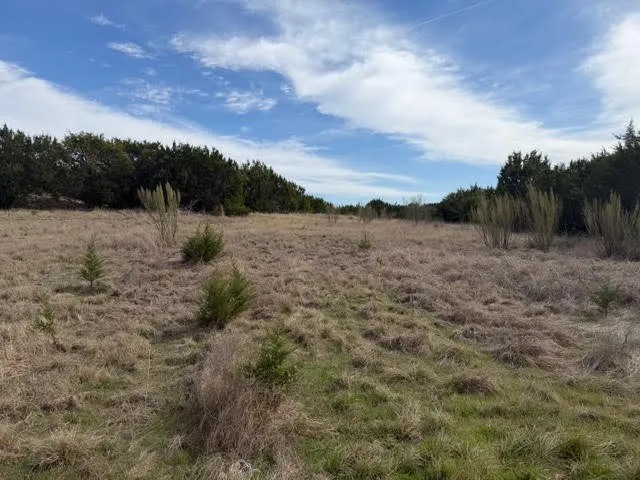 Unimproved Land For Sale in Palo Pinto County , 1160 Prairie Falcon Court, Graford, Texas 76449, 0, 0, Garage spaces, 0 Sqft, built in 0, Price $70,000, mls#21208995, Real Estate Agent in Graford, Homes For Sale in Palo Pinto county, Homes For Sale in Graford, Realtor in Graford Texas, Real Estate Brokerage Independent Realty Texas, Luminita Cordes Realtor