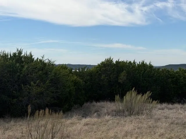 Unimproved Land For Sale in Palo Pinto County , 1160 Prairie Falcon Court, Graford, Texas 76449, 0, 0, Garage spaces, 0 Sqft, built in 0, Price $70,000, mls#21208995, Real Estate Agent in Graford, Homes For Sale in Palo Pinto county, Homes For Sale in Graford, Realtor in Graford Texas, Real Estate Brokerage Independent Realty Texas, Luminita Cordes Realtor