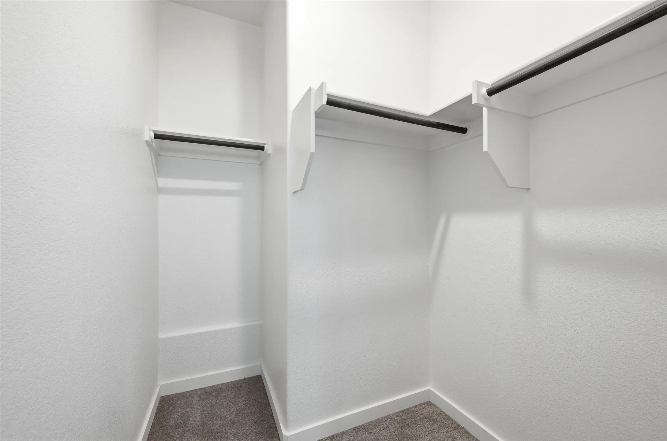 Walk in closet with dark carpet