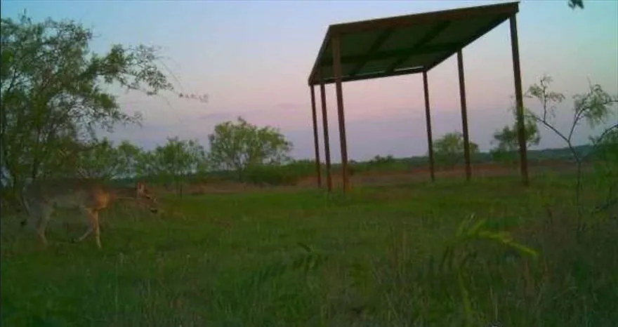 Unimproved Land For Sale in Comanche County , TBD 1 CR 343 Road, Dublin, Texas 76446, 0, 0, Garage spaces, 0 Sqft, built in 0, mls#21203695, Real Estate Agent in Dublin, Homes For Sale in Comanche county, Homes For Sale in Dublin, Realtor in Dublin Texas, Real Estate Brokerage Independent Realty Texas, Luminita Cordes Realtor