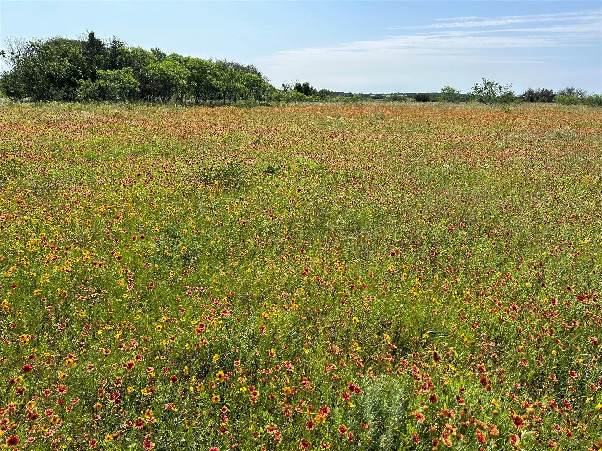 View of nature with rural landscape