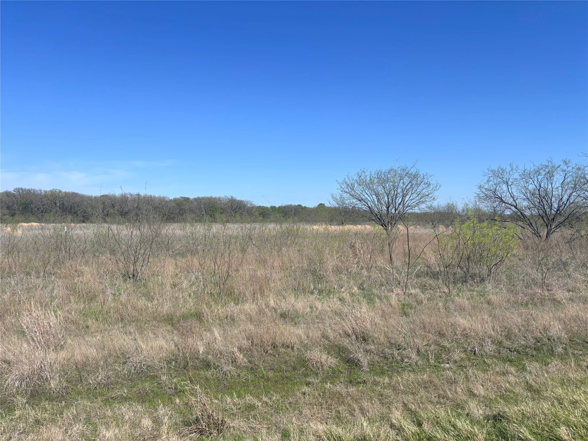 Unimproved Land For Sale in Hill County , TBD PR 370, Hubbard, Texas 76648, 0, 0, Garage spaces, 0 Sqft, built in 0, Price $105,000, mls#21209258, Real Estate Agent in Hubbard, Homes For Sale in Hill county, Homes For Sale in Hubbard, Realtor in Hubbard Texas, Real Estate Brokerage Independent Realty Texas, Luminita Cordes Realtor