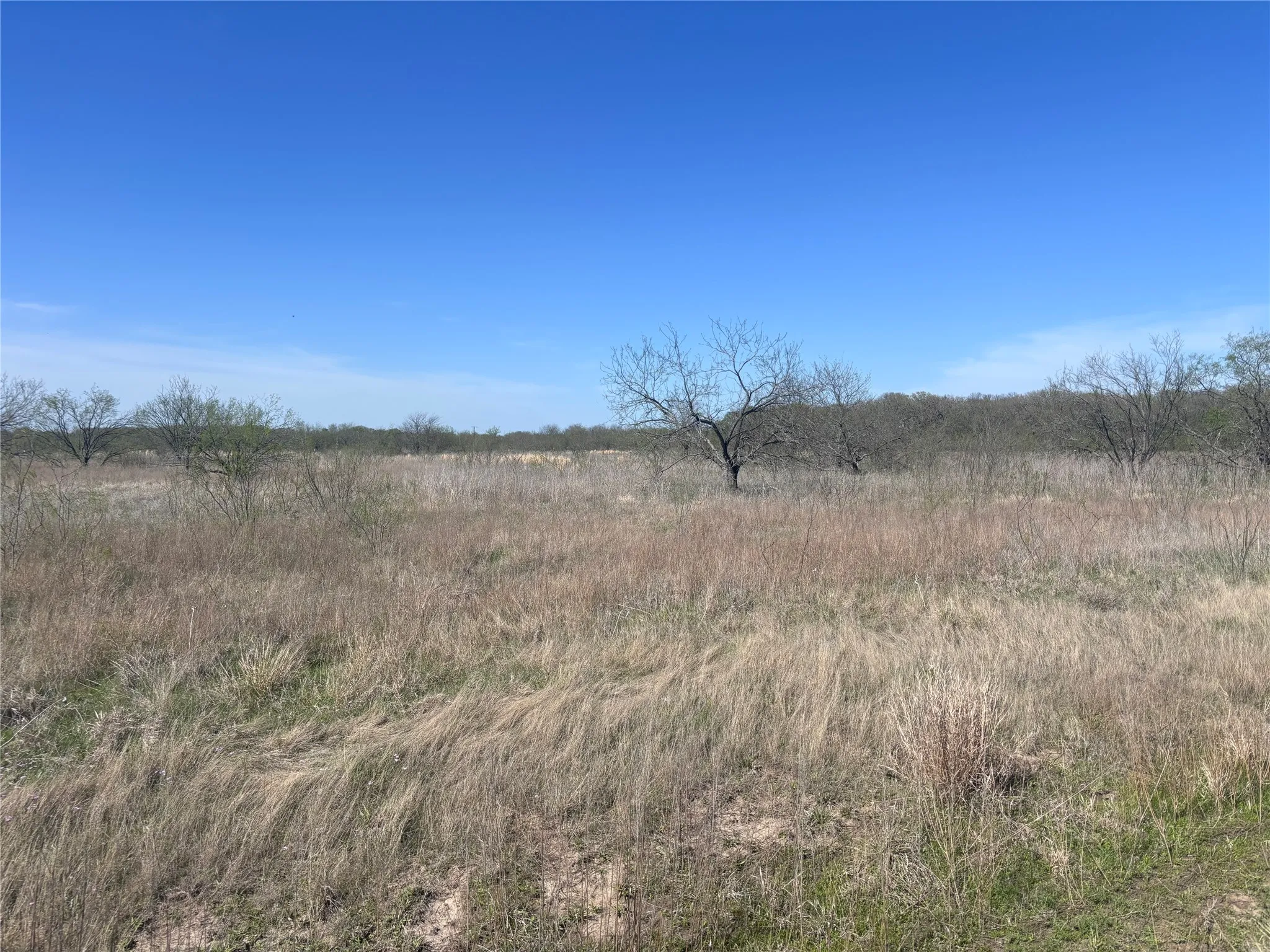 Unimproved Land For Sale in Hill County , TBD PR 370, Hubbard, Texas 76648, 0, 0, Garage spaces, 0 Sqft, built in 0, Price $105,000, mls#21209258, Real Estate Agent in Hubbard, Homes For Sale in Hill county, Homes For Sale in Hubbard, Realtor in Hubbard Texas, Real Estate Brokerage Independent Realty Texas, Luminita Cordes Realtor