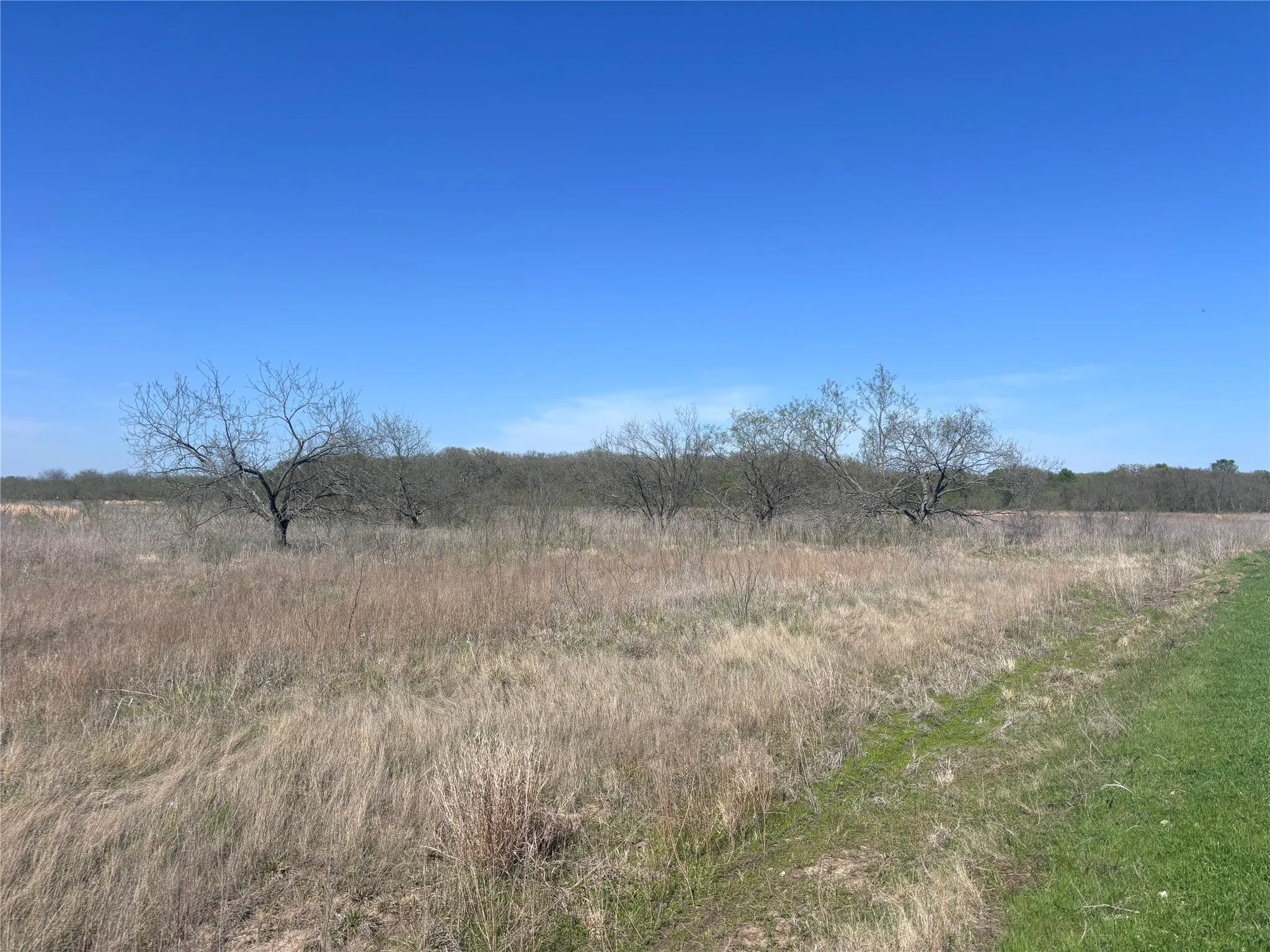 Unimproved Land For Sale in Hill County , TBD PR 370, Hubbard, Texas 76648, 0, 0, Garage spaces, 0 Sqft, built in 0, Price $105,000, mls#21209258, Real Estate Agent in Hubbard, Homes For Sale in Hill county, Homes For Sale in Hubbard, Realtor in Hubbard Texas, Real Estate Brokerage Independent Realty Texas, Luminita Cordes Realtor