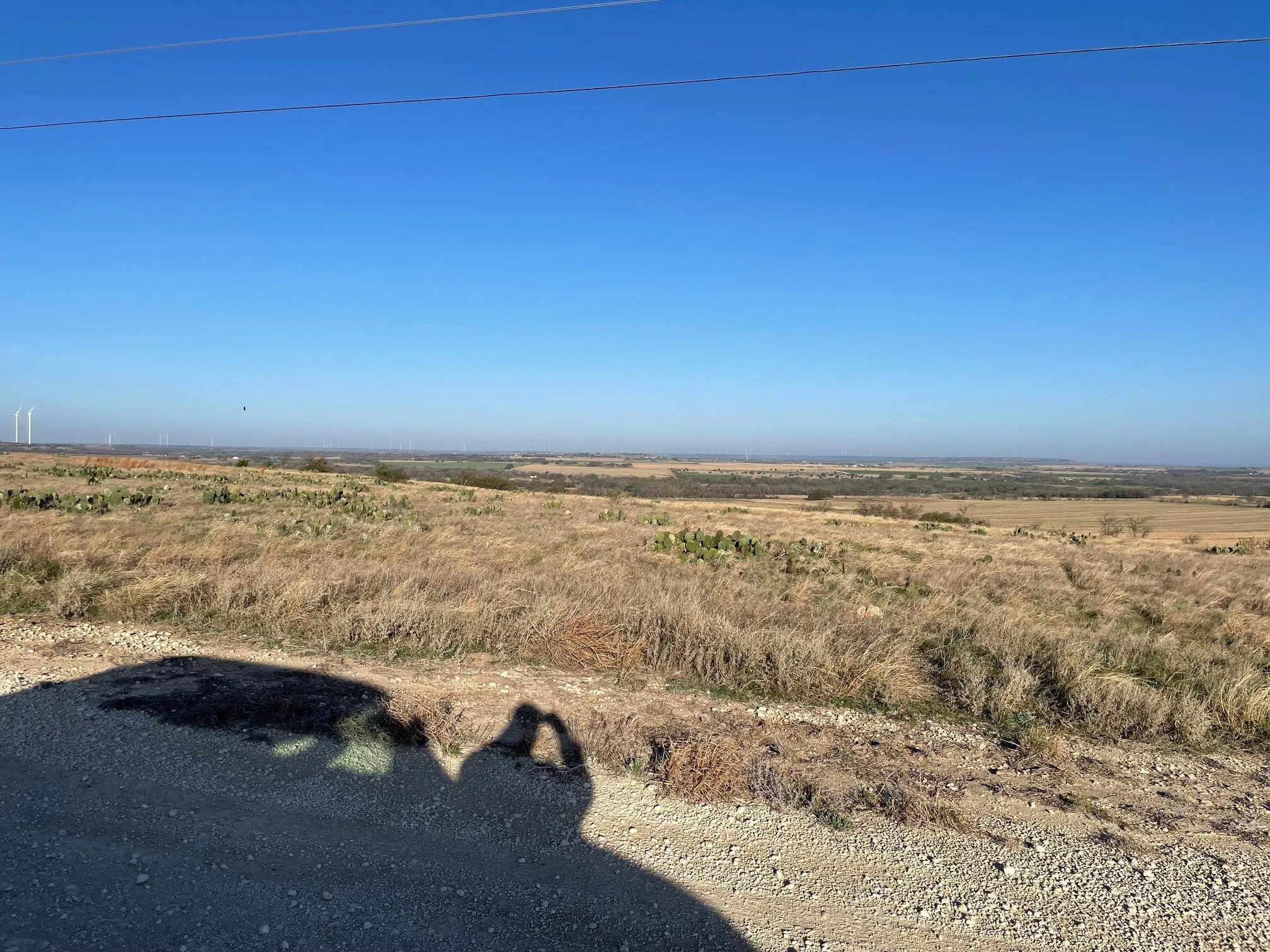 View of local wilderness featuring rural landscape