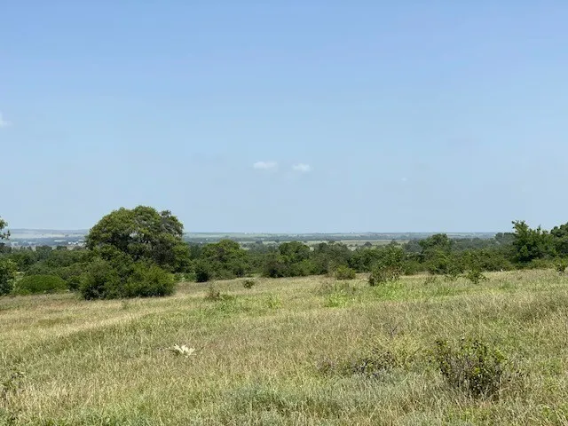 Expansive open land featuring natural grasses and scattered mature trees