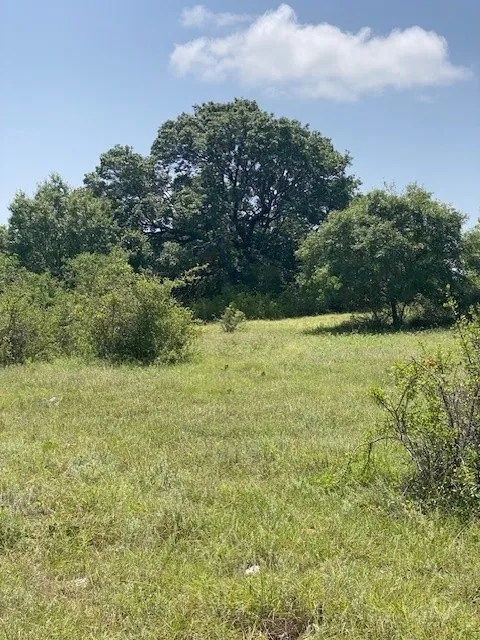 Unimproved Land For Sale in Hamilton County , 130 CR 242, Indian Gap, Texas 76531, 0, 0, Garage spaces, 0 Sqft, built in 0, Price $100,000, mls#21207278, Real Estate Agent in Indian Gap, Homes For Sale in Hamilton county, Homes For Sale in Indian Gap, Realtor in Indian Gap Texas, Real Estate Brokerage Independent Realty Texas, Luminita Cordes Realtor