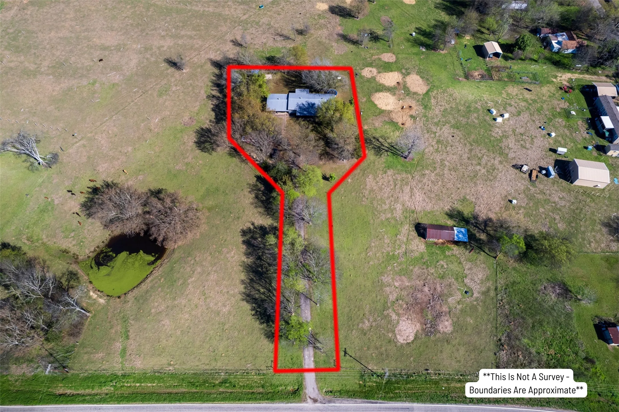 Single Family Residence For Sale in Franklin (TX) County , 328 FM 900, Mount Vernon, Texas 75457, 3 Bedroom, 2 Bathroom, Garage spaces, 1,396 Sqft, built in 1980, Preowned, mls#21208198, Real Estate Agent in Mount Vernon, Homes For Sale in Franklin (TX) county, Homes For Sale in Mount Vernon, Realtor in Mount Vernon Texas, Real Estate Brokerage Independent Realty Texas, Luminita Cordes Realtor