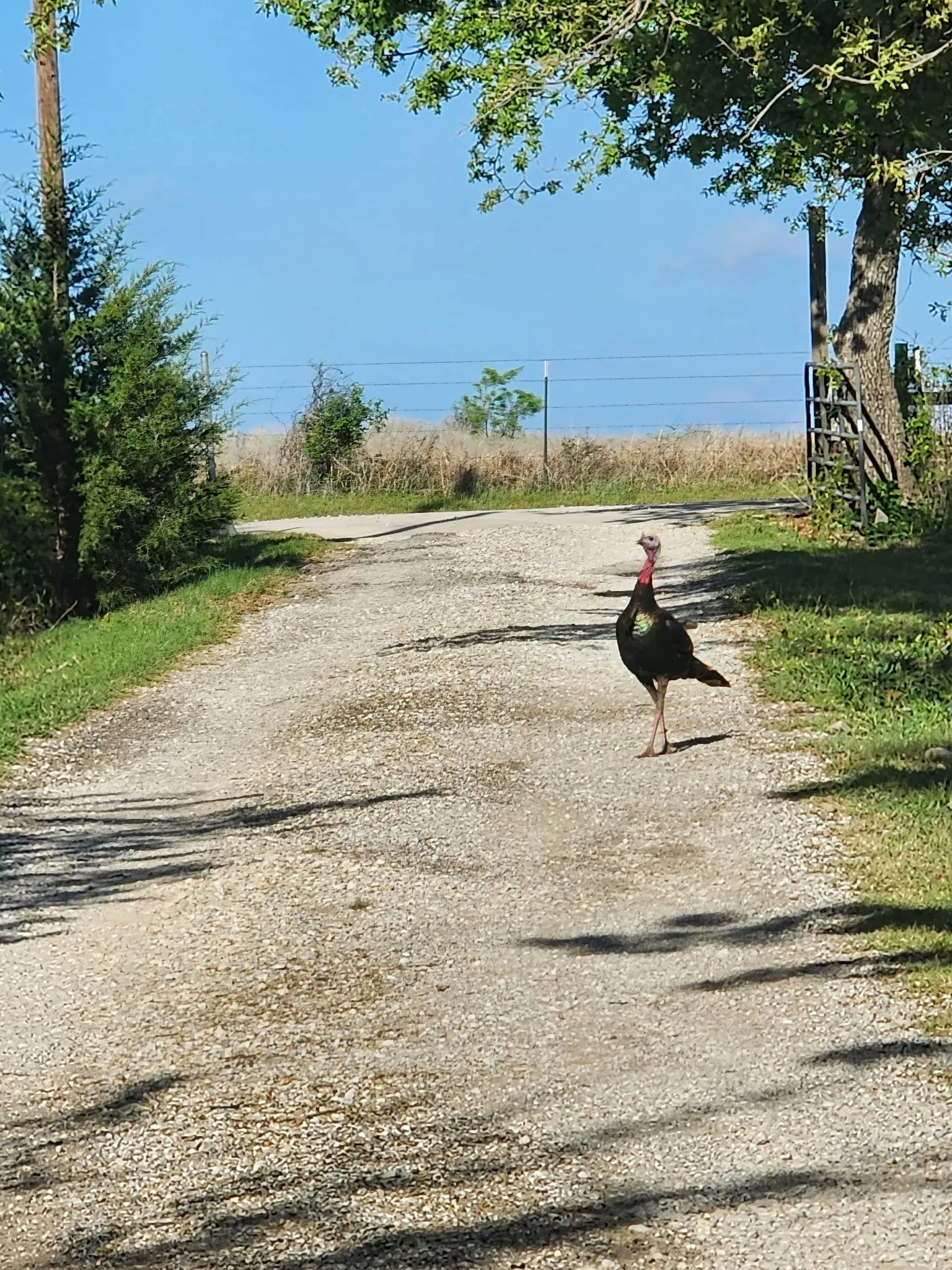 “Frequent wildlife sightings add to the peaceful country feel”