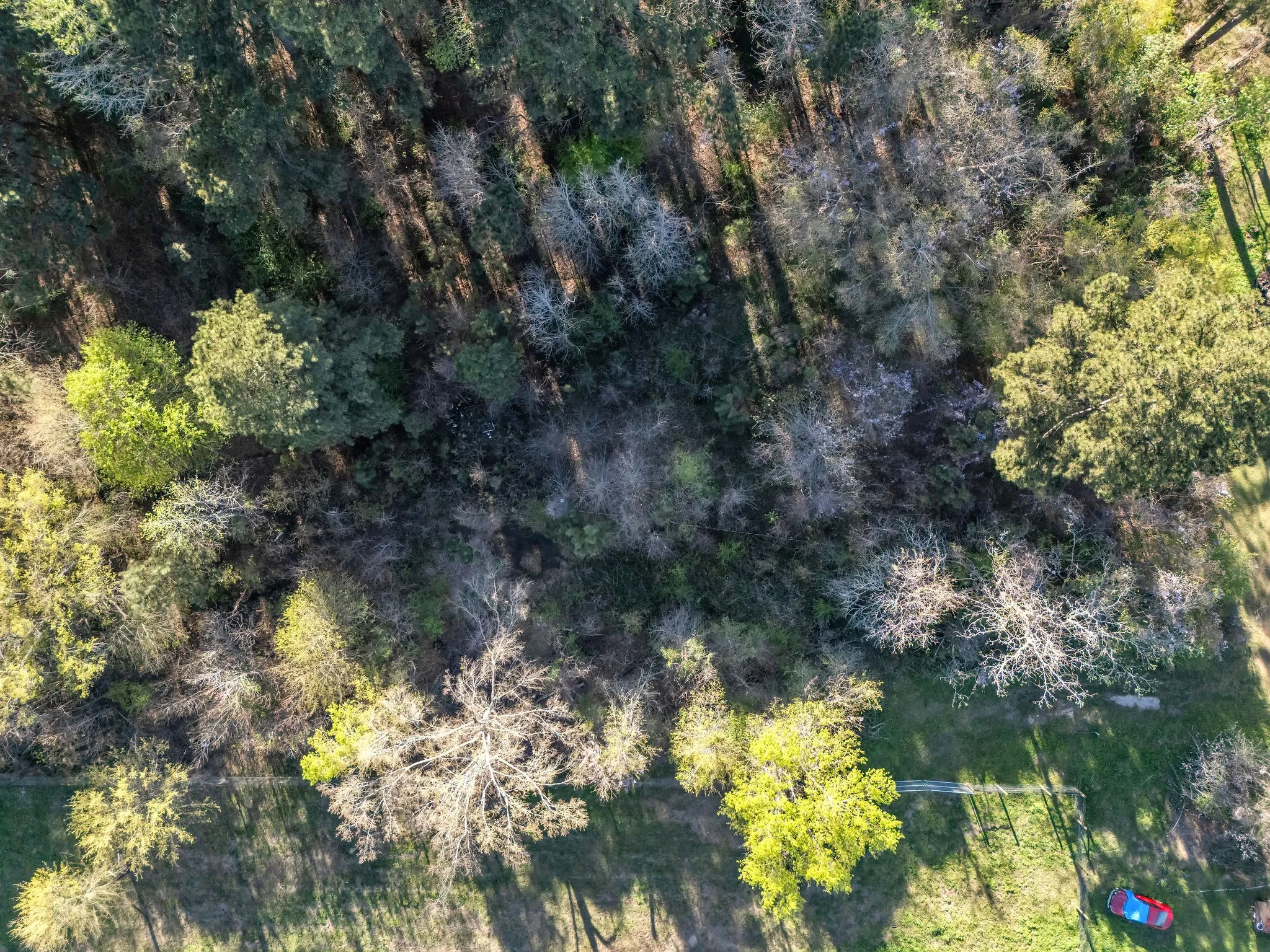 Unimproved Land For Sale in Smith County , TBD S Alma Street, Troup, Texas 75789, 0, 0, Garage spaces, 0 Sqft, built in 0, mls#21203070, Real Estate Agent in Troup, Homes For Sale in Smith county, Homes For Sale in Troup, Realtor in Troup Texas, Real Estate Brokerage Independent Realty Texas, Luminita Cordes Realtor