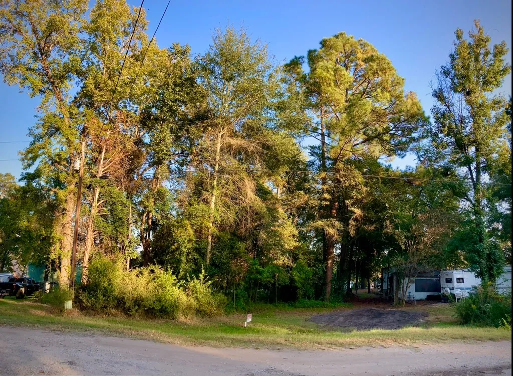 Unimproved Land For Sale in Van Zandt County , 262 E Walnut Trail, Murchison, Texas 75778, 0, 0, Garage spaces, 0 Sqft, built in 0, mls#21208349, Real Estate Agent in Murchison, Homes For Sale in Van Zandt county, Homes For Sale in Murchison, Realtor in Murchison Texas, Real Estate Brokerage Independent Realty Texas, Luminita Cordes Realtor