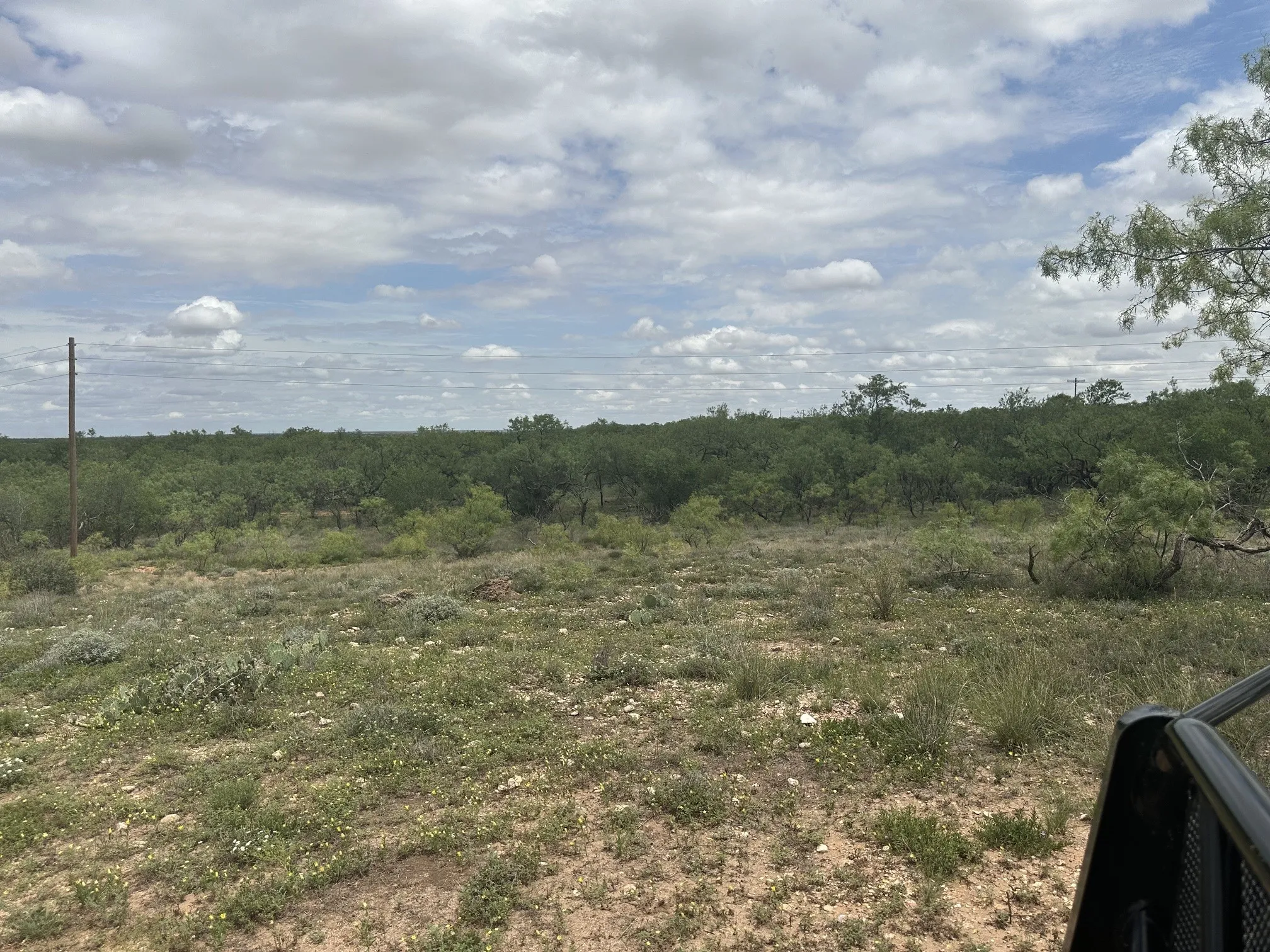 Ranch For Sale in Jones County , TBD PR off of CR 444, Merkel, Texas 79536, 0, 0, Garage spaces, 0 Sqft, built in 0, mls#21209117, Real Estate Agent in Merkel, Homes For Sale in Jones county, Homes For Sale in Merkel, Realtor in Merkel Texas, Real Estate Brokerage Independent Realty Texas, Luminita Cordes Realtor
