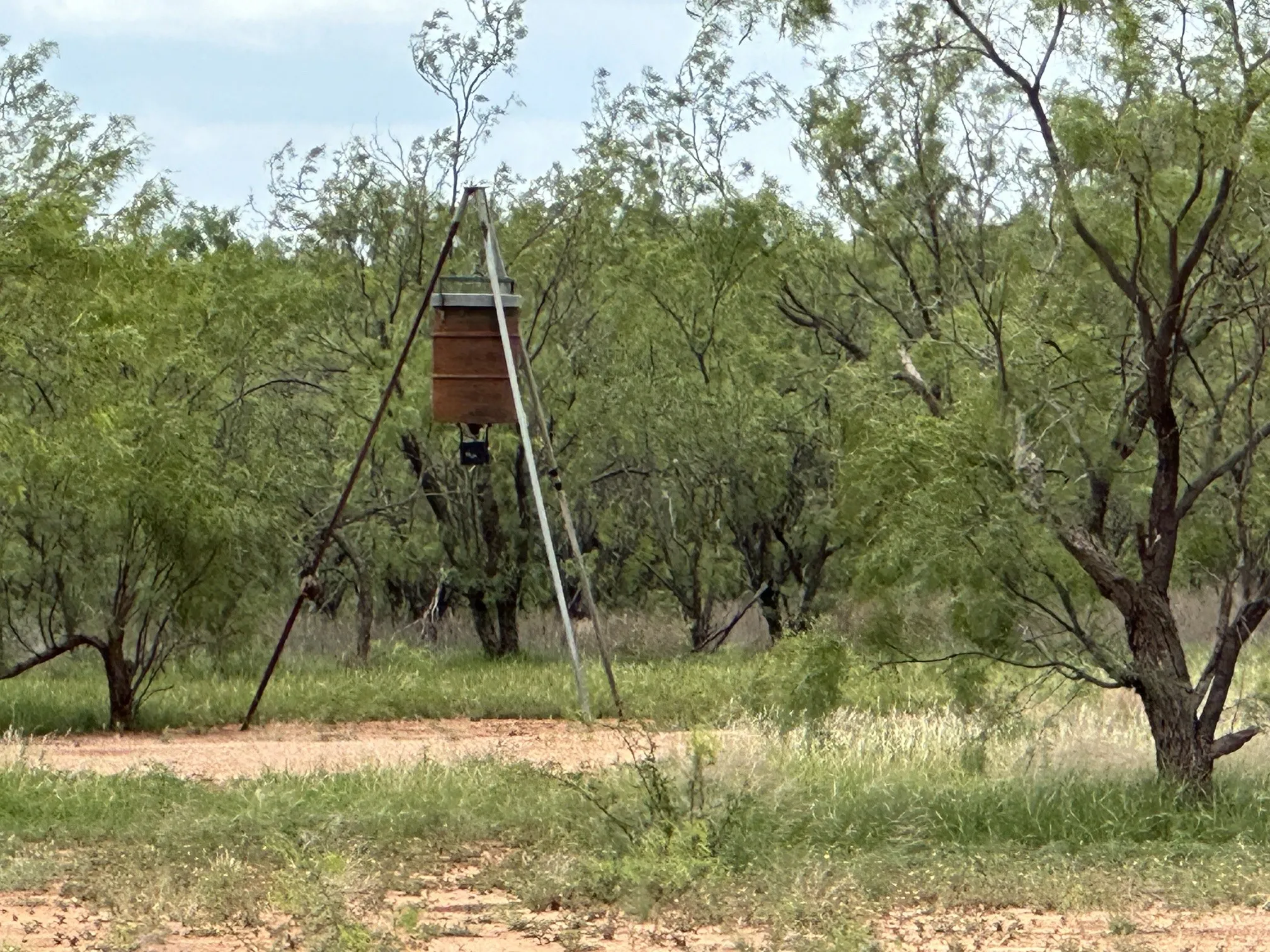 Ranch For Sale in Jones County , TBD PR off of CR 444, Merkel, Texas 79536, 0, 0, Garage spaces, 0 Sqft, built in 0, mls#21209117, Real Estate Agent in Merkel, Homes For Sale in Jones county, Homes For Sale in Merkel, Realtor in Merkel Texas, Real Estate Brokerage Independent Realty Texas, Luminita Cordes Realtor
