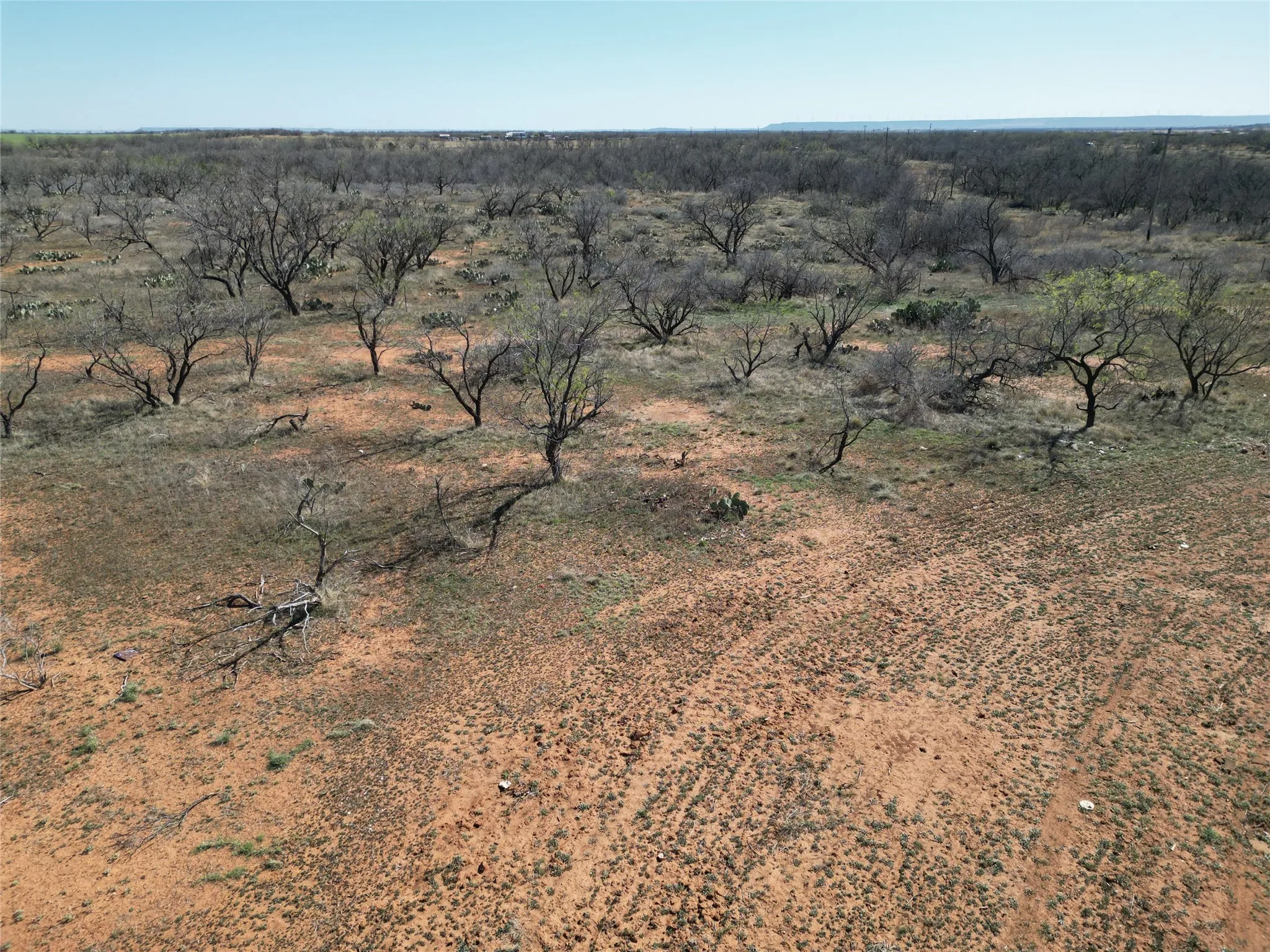 Ranch For Sale in Jones County , TBD PR off of CR 444, Merkel, Texas 79536, 0, 0, Garage spaces, 0 Sqft, built in 0, mls#21209117, Real Estate Agent in Merkel, Homes For Sale in Jones county, Homes For Sale in Merkel, Realtor in Merkel Texas, Real Estate Brokerage Independent Realty Texas, Luminita Cordes Realtor
