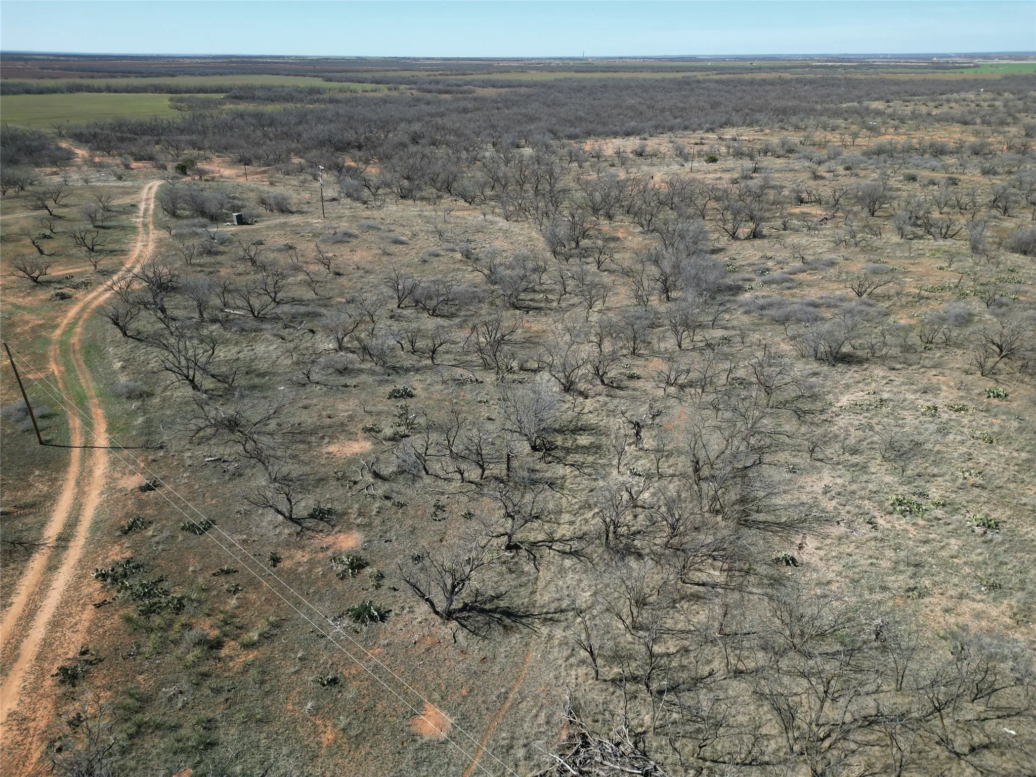 Ranch For Sale in Jones County , TBD PR off of CR 444, Merkel, Texas 79536, 0, 0, Garage spaces, 0 Sqft, built in 0, mls#21209117, Real Estate Agent in Merkel, Homes For Sale in Jones county, Homes For Sale in Merkel, Realtor in Merkel Texas, Real Estate Brokerage Independent Realty Texas, Luminita Cordes Realtor