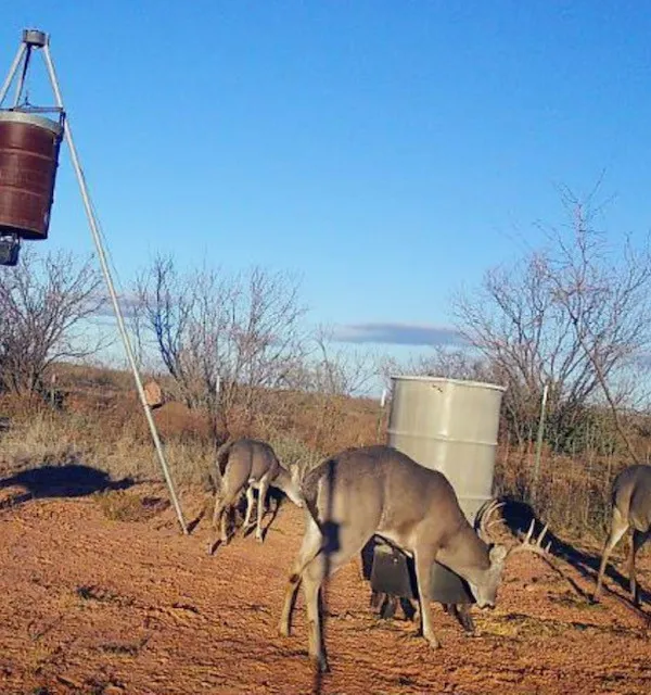Ranch For Sale in Jones County , TBD PR off of CR 444, Merkel, Texas 79536, 0, 0, Garage spaces, 0 Sqft, built in 0, mls#21209117, Real Estate Agent in Merkel, Homes For Sale in Jones county, Homes For Sale in Merkel, Realtor in Merkel Texas, Real Estate Brokerage Independent Realty Texas, Luminita Cordes Realtor