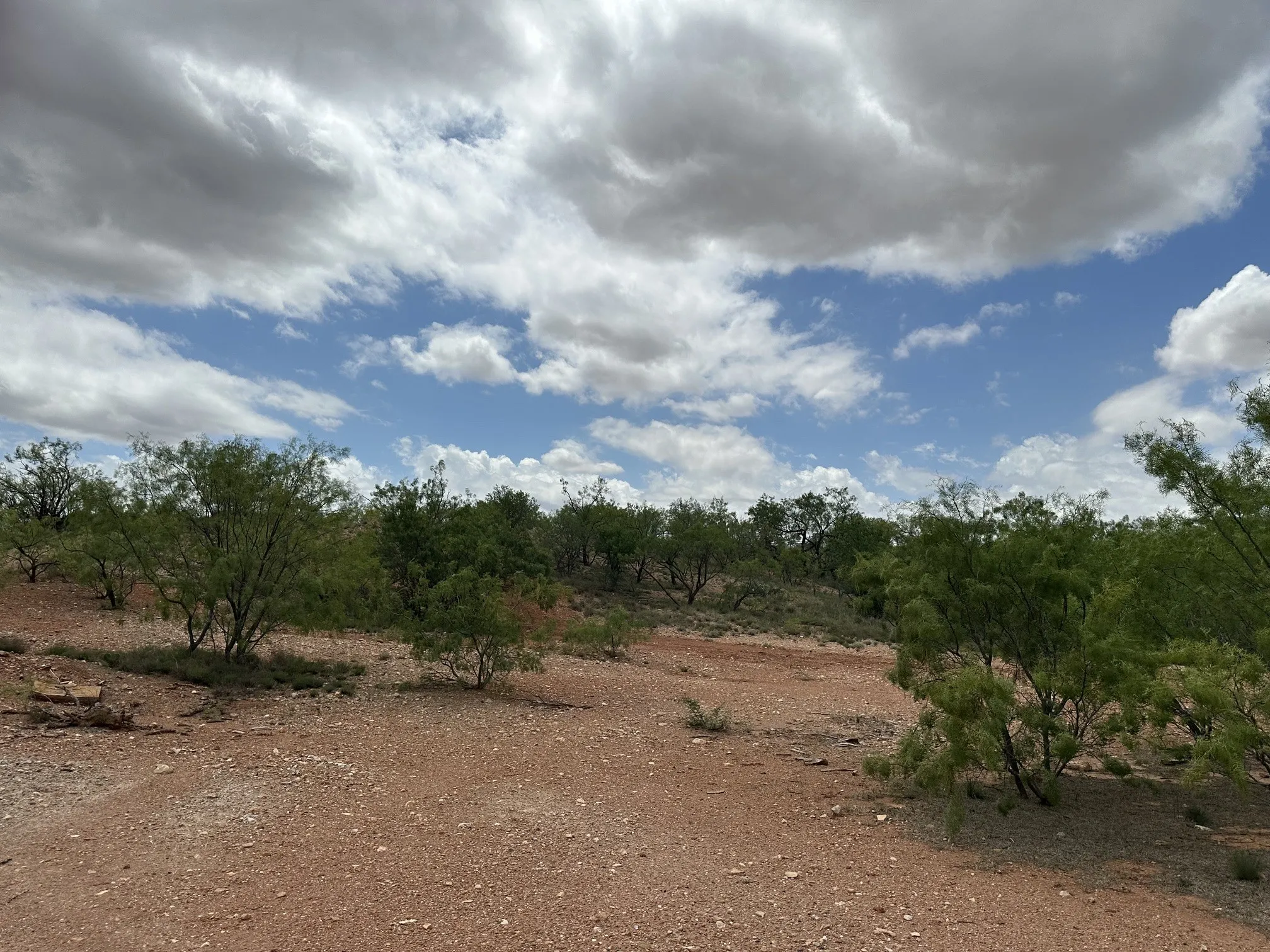 Ranch For Sale in Jones County , TBD PR off of CR 444, Merkel, Texas 79536, 0, 0, Garage spaces, 0 Sqft, built in 0, mls#21209117, Real Estate Agent in Merkel, Homes For Sale in Jones county, Homes For Sale in Merkel, Realtor in Merkel Texas, Real Estate Brokerage Independent Realty Texas, Luminita Cordes Realtor