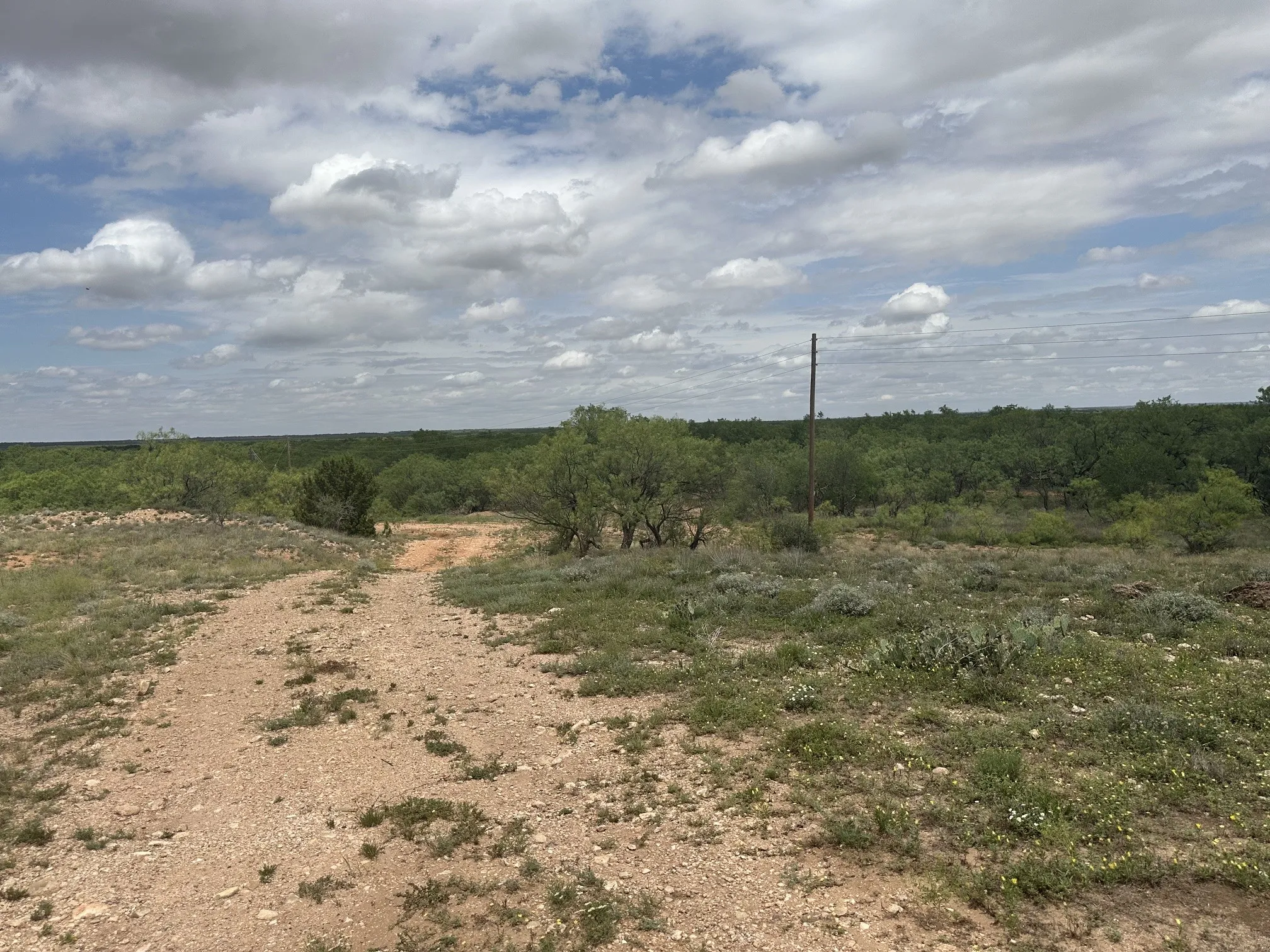 Ranch For Sale in Jones County , TBD PR off of CR 444, Merkel, Texas 79536, 0, 0, Garage spaces, 0 Sqft, built in 0, mls#21209117, Real Estate Agent in Merkel, Homes For Sale in Jones county, Homes For Sale in Merkel, Realtor in Merkel Texas, Real Estate Brokerage Independent Realty Texas, Luminita Cordes Realtor