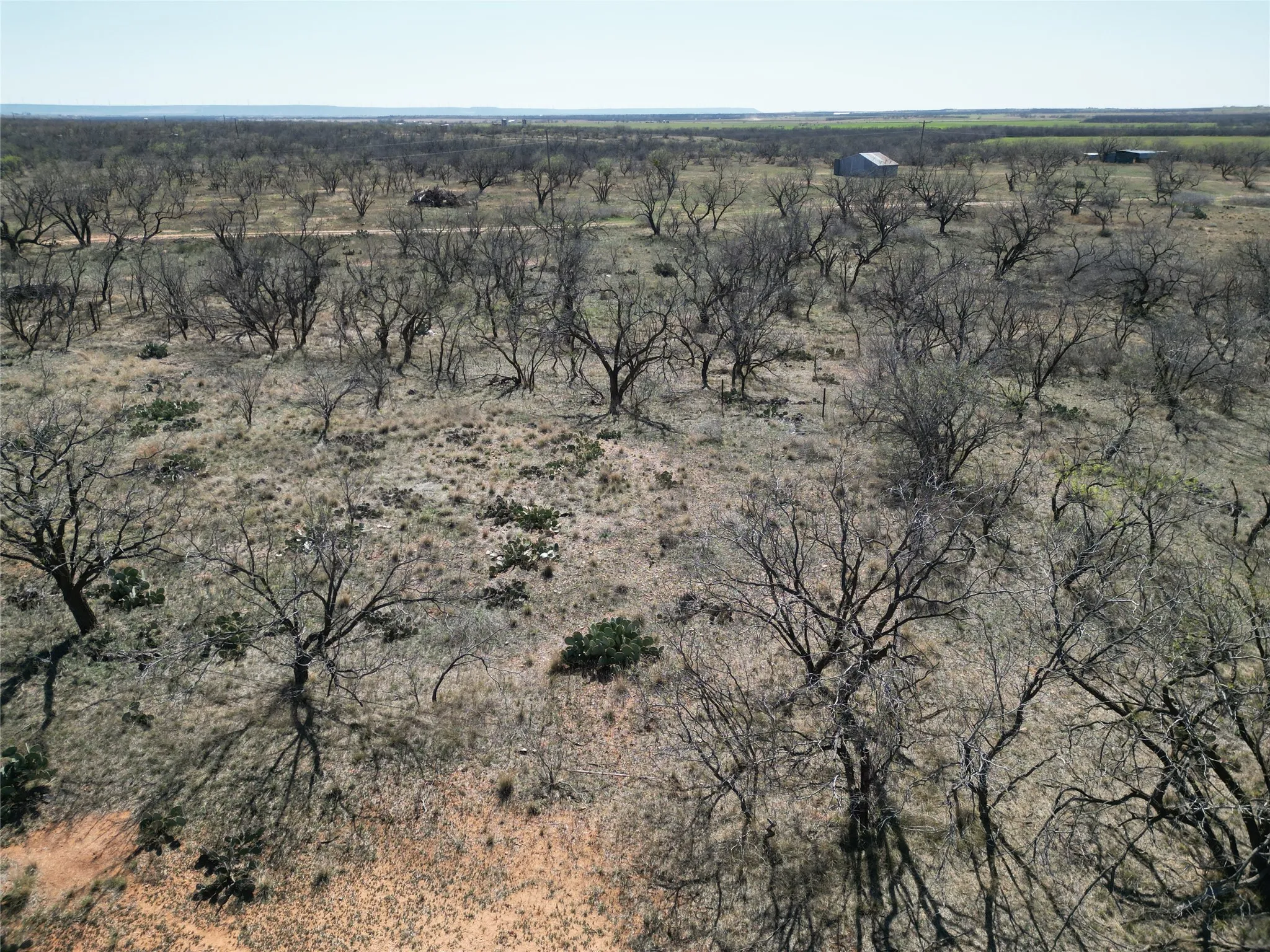 Ranch For Sale in Jones County , TBD PR off of CR 444, Merkel, Texas 79536, 0, 0, Garage spaces, 0 Sqft, built in 0, mls#21209117, Real Estate Agent in Merkel, Homes For Sale in Jones county, Homes For Sale in Merkel, Realtor in Merkel Texas, Real Estate Brokerage Independent Realty Texas, Luminita Cordes Realtor