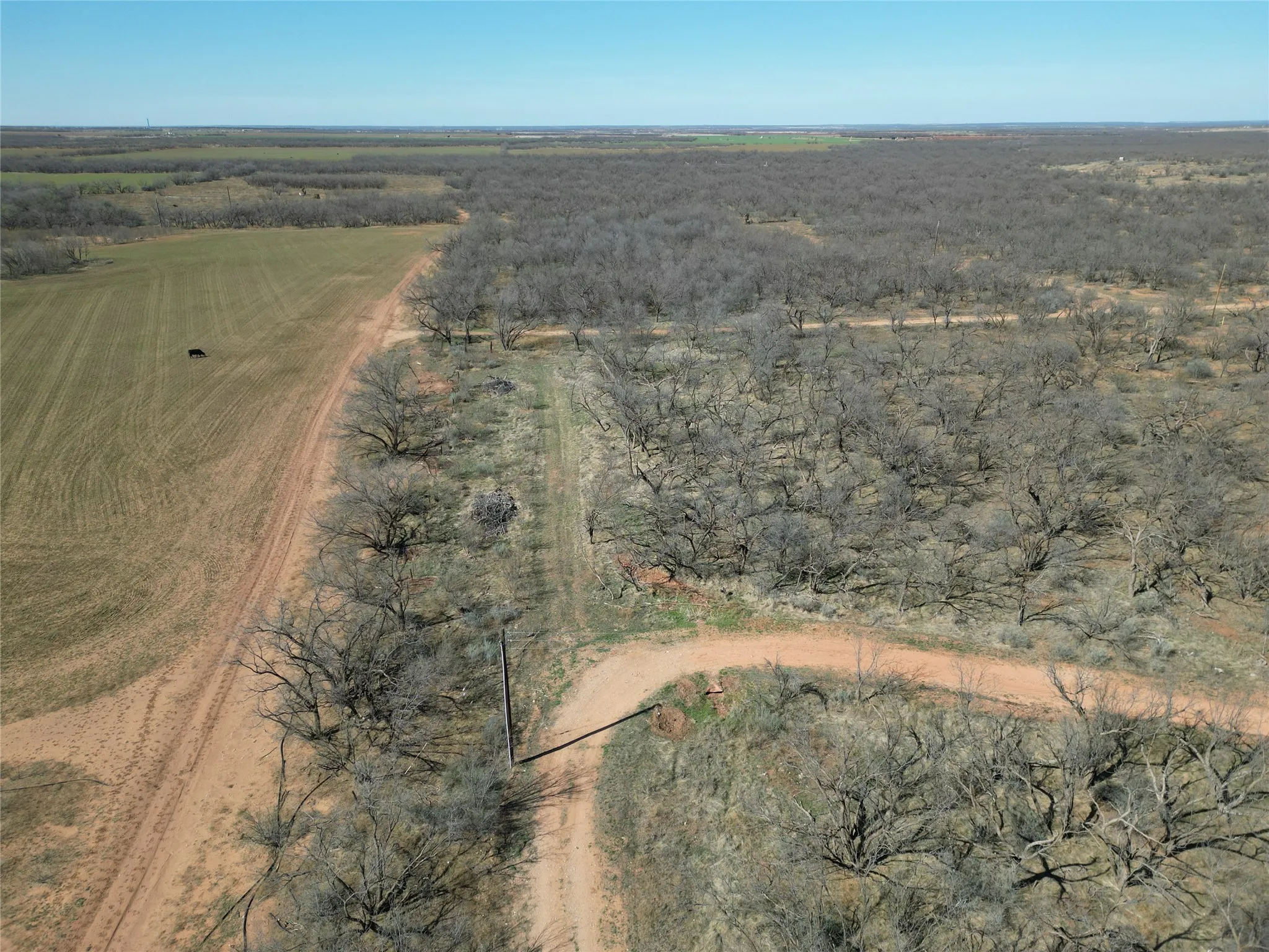 Ranch For Sale in Jones County , TBD PR off of CR 444, Merkel, Texas 79536, 0, 0, Garage spaces, 0 Sqft, built in 0, mls#21209117, Real Estate Agent in Merkel, Homes For Sale in Jones county, Homes For Sale in Merkel, Realtor in Merkel Texas, Real Estate Brokerage Independent Realty Texas, Luminita Cordes Realtor