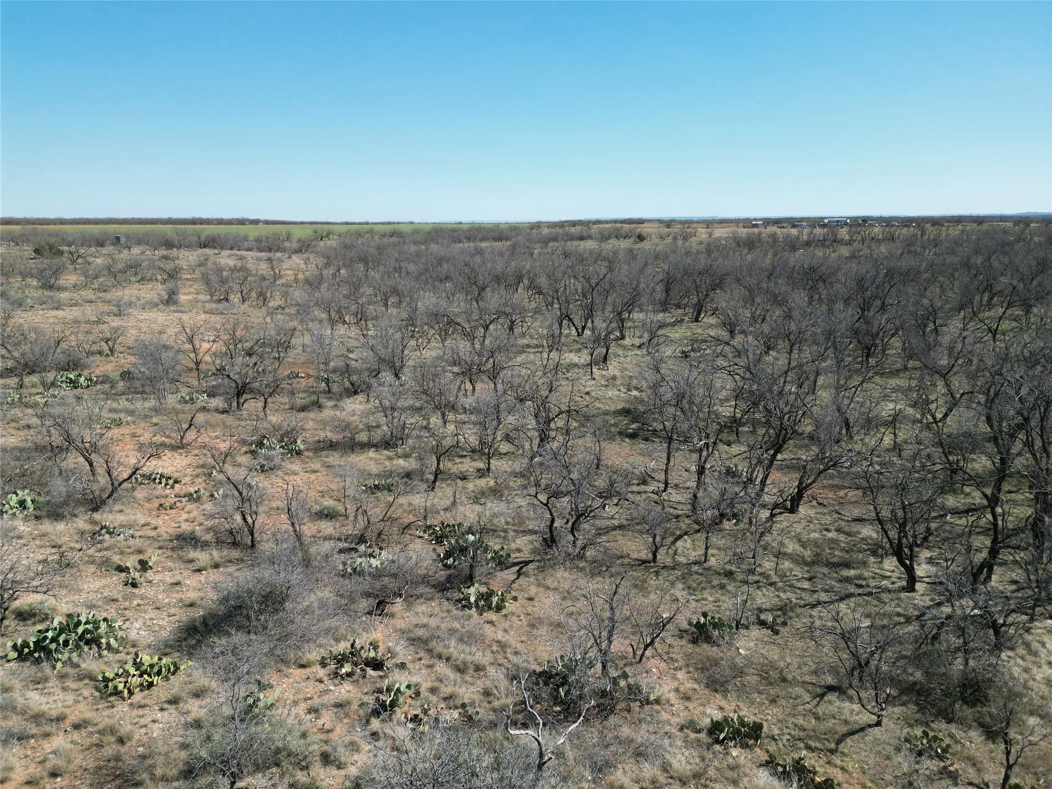 Ranch For Sale in Jones County , TBD PR off of CR 444, Merkel, Texas 79536, 0, 0, Garage spaces, 0 Sqft, built in 0, mls#21209117, Real Estate Agent in Merkel, Homes For Sale in Jones county, Homes For Sale in Merkel, Realtor in Merkel Texas, Real Estate Brokerage Independent Realty Texas, Luminita Cordes Realtor