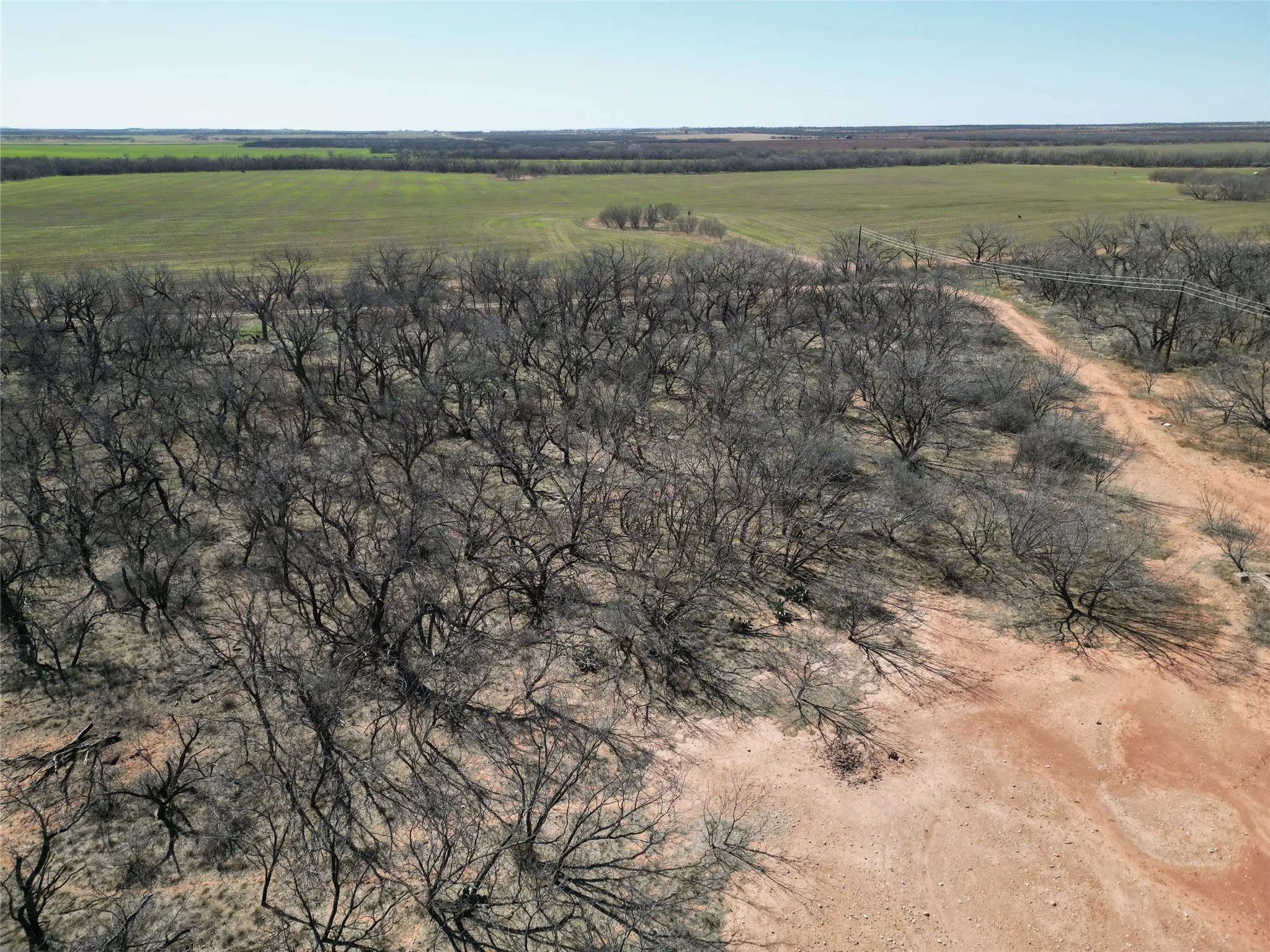 Ranch For Sale in Jones County , TBD PR off of CR 444, Merkel, Texas 79536, 0, 0, Garage spaces, 0 Sqft, built in 0, mls#21209117, Real Estate Agent in Merkel, Homes For Sale in Jones county, Homes For Sale in Merkel, Realtor in Merkel Texas, Real Estate Brokerage Independent Realty Texas, Luminita Cordes Realtor