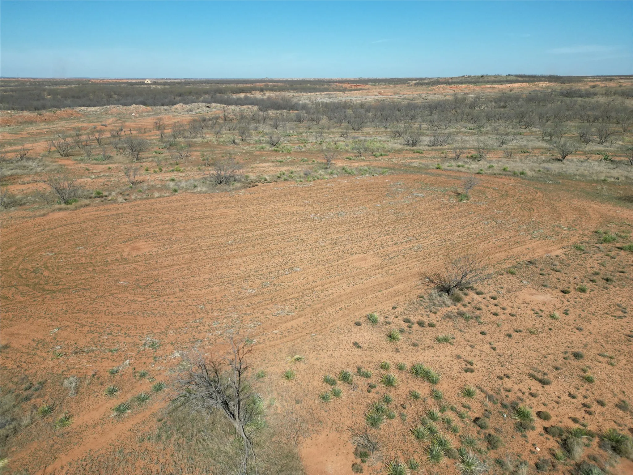 Food plot
