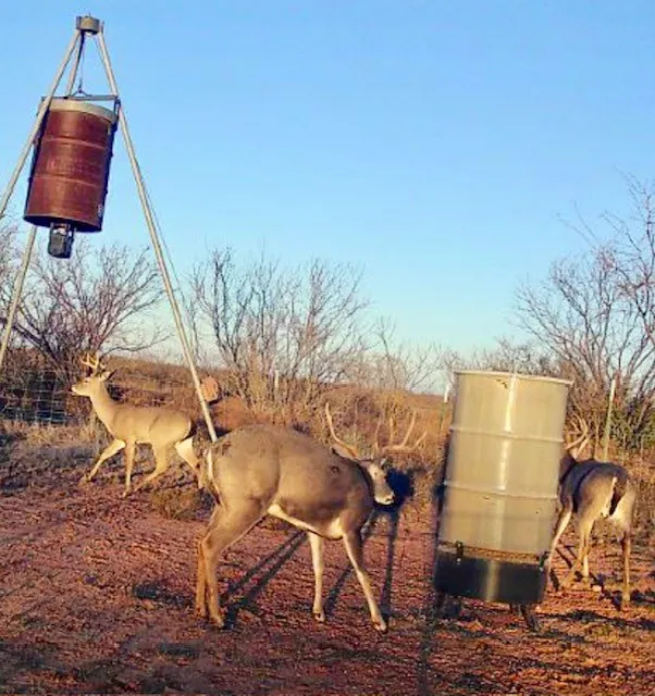 Ranch For Sale in Jones County , TBD PR off of CR 444, Merkel, Texas 79536, 0, 0, Garage spaces, 0 Sqft, built in 0, mls#21209117, Real Estate Agent in Merkel, Homes For Sale in Jones county, Homes For Sale in Merkel, Realtor in Merkel Texas, Real Estate Brokerage Independent Realty Texas, Luminita Cordes Realtor