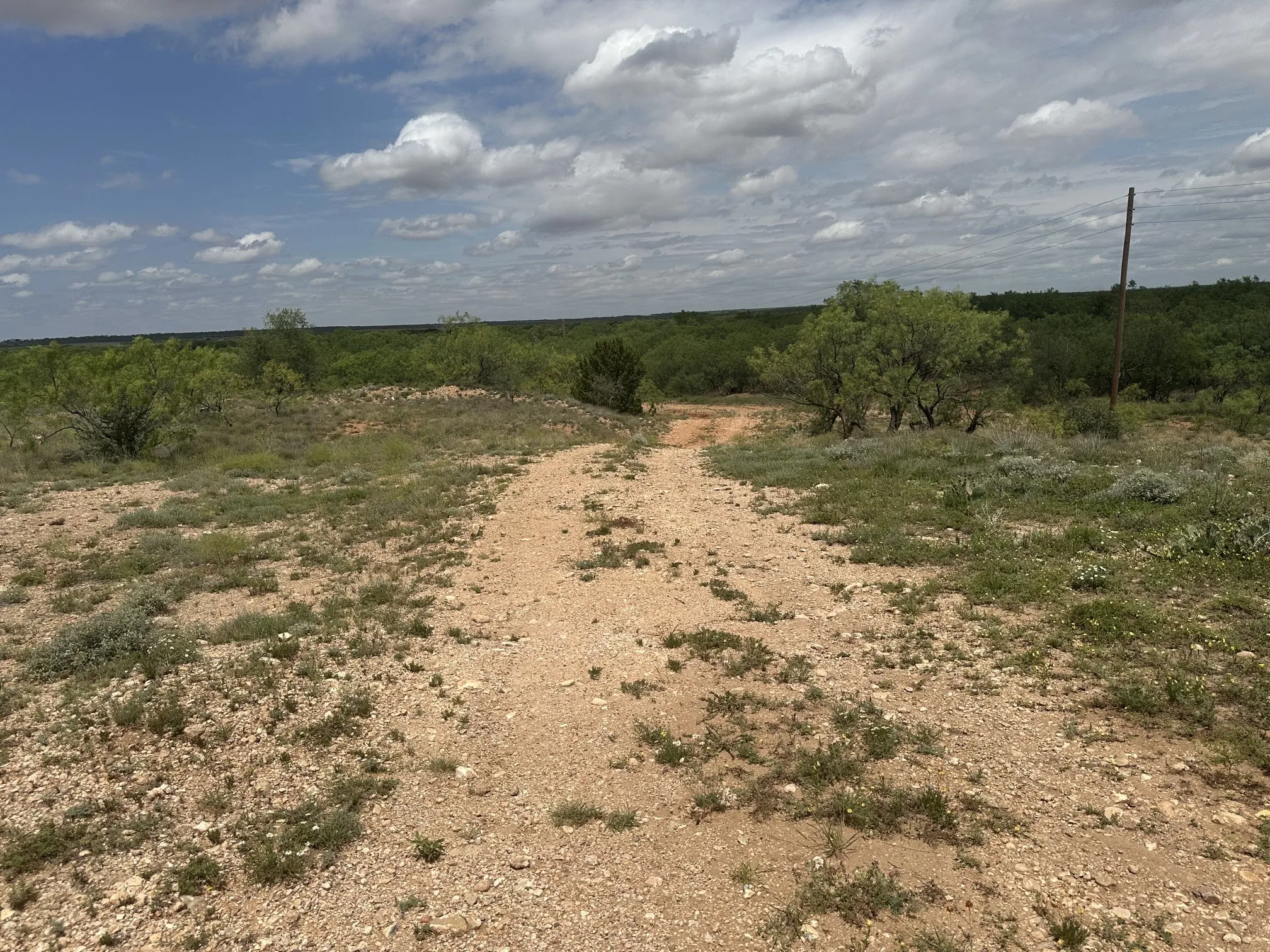 Ranch For Sale in Jones County , TBD PR off of CR 444, Merkel, Texas 79536, 0, 0, Garage spaces, 0 Sqft, built in 0, mls#21209117, Real Estate Agent in Merkel, Homes For Sale in Jones county, Homes For Sale in Merkel, Realtor in Merkel Texas, Real Estate Brokerage Independent Realty Texas, Luminita Cordes Realtor