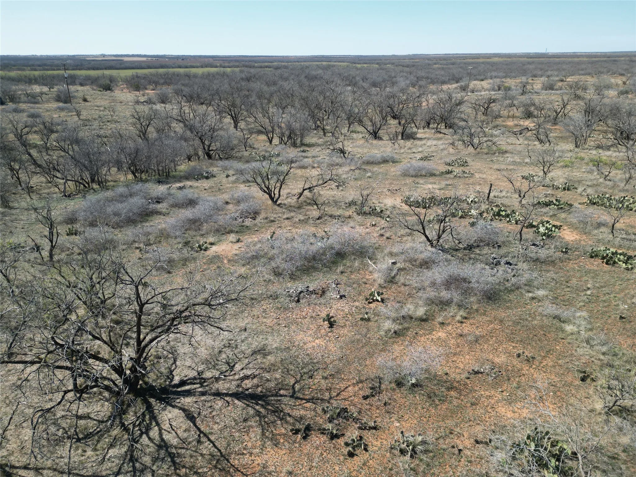 Ranch For Sale in Jones County , TBD PR off of CR 444, Merkel, Texas 79536, 0, 0, Garage spaces, 0 Sqft, built in 0, mls#21209117, Real Estate Agent in Merkel, Homes For Sale in Jones county, Homes For Sale in Merkel, Realtor in Merkel Texas, Real Estate Brokerage Independent Realty Texas, Luminita Cordes Realtor