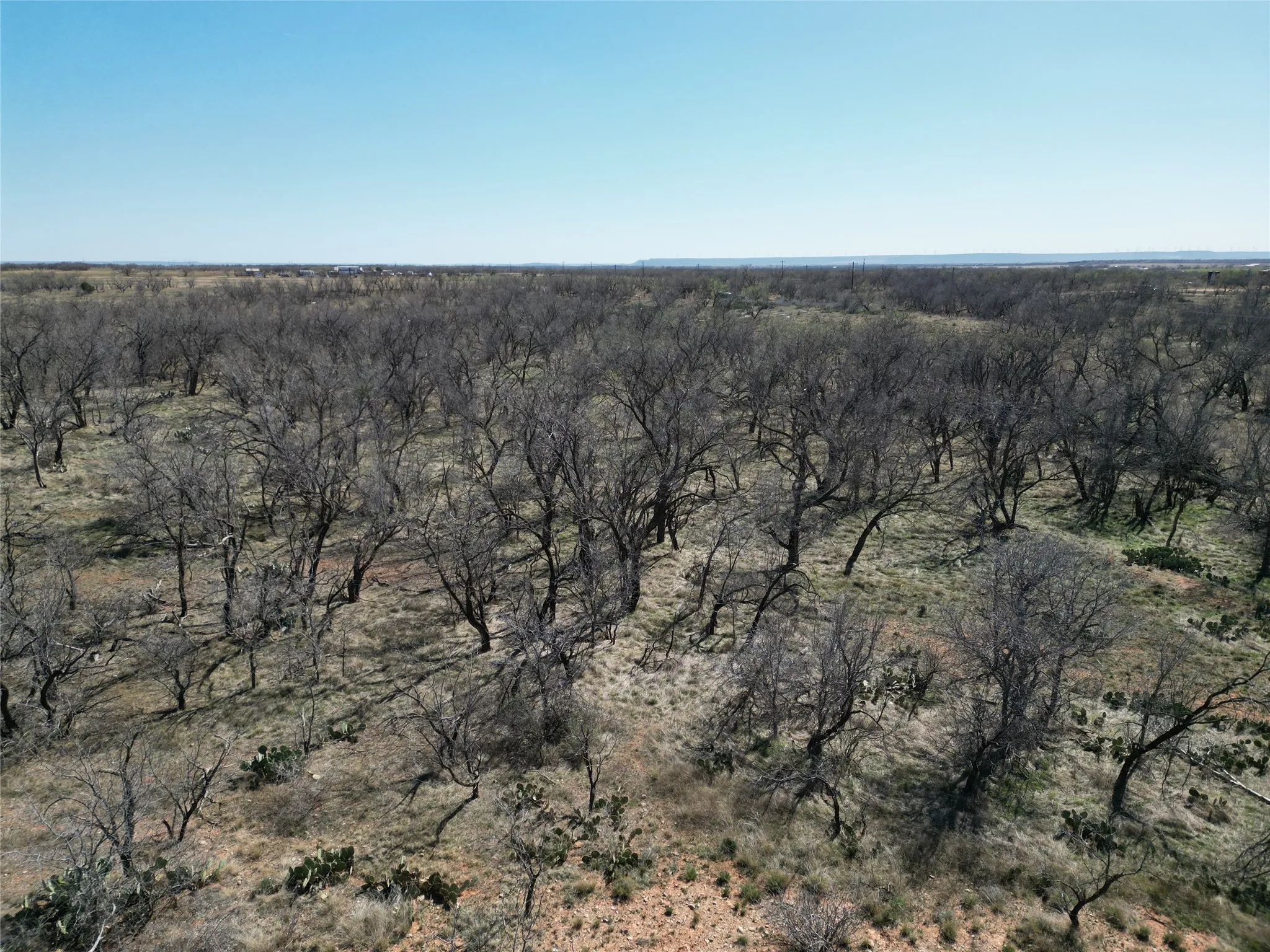 Ranch For Sale in Jones County , TBD PR off of CR 444, Merkel, Texas 79536, 0, 0, Garage spaces, 0 Sqft, built in 0, mls#21209117, Real Estate Agent in Merkel, Homes For Sale in Jones county, Homes For Sale in Merkel, Realtor in Merkel Texas, Real Estate Brokerage Independent Realty Texas, Luminita Cordes Realtor