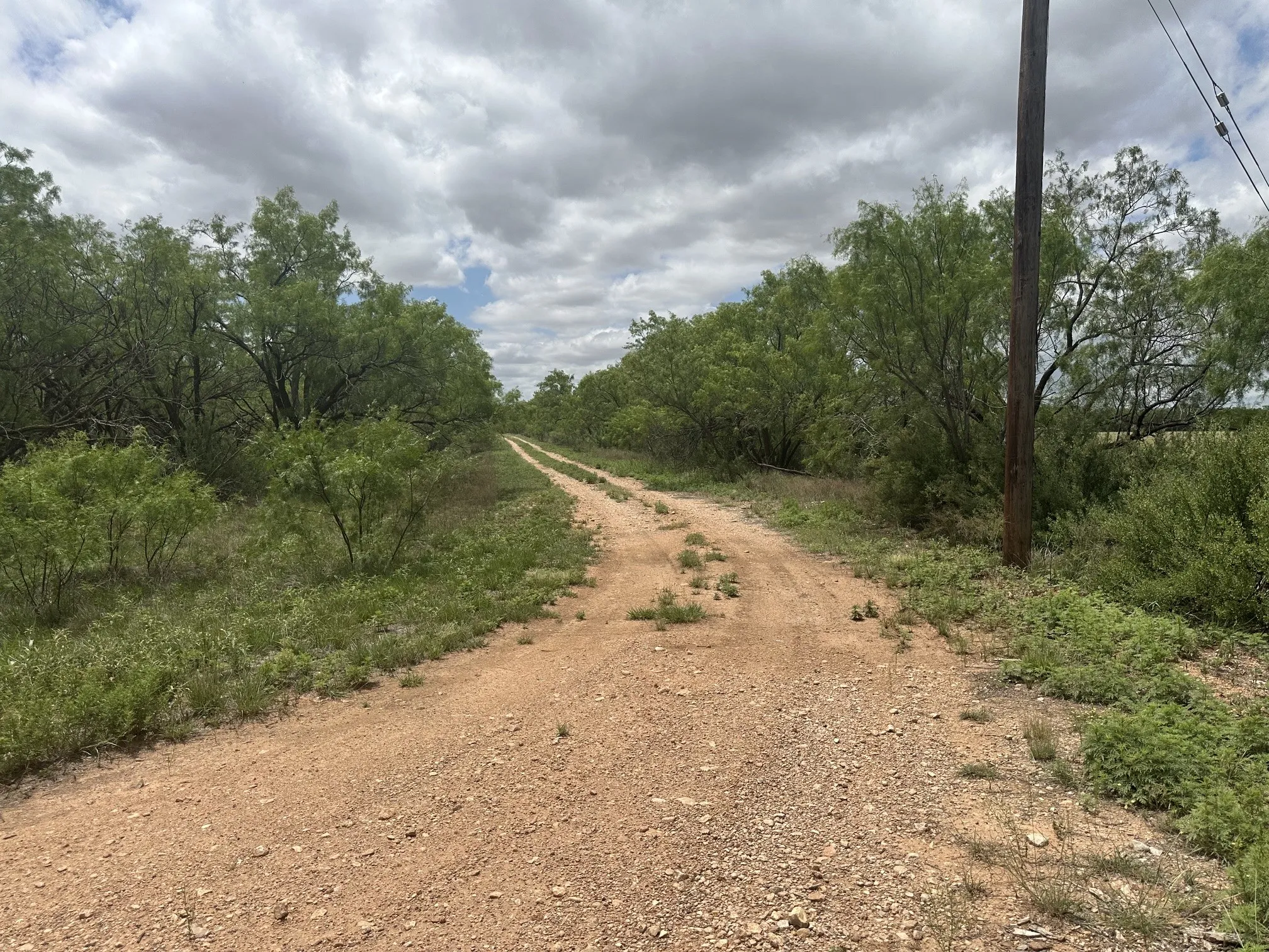 Ranch For Sale in Jones County , TBD PR off of CR 444, Merkel, Texas 79536, 0, 0, Garage spaces, 0 Sqft, built in 0, mls#21209117, Real Estate Agent in Merkel, Homes For Sale in Jones county, Homes For Sale in Merkel, Realtor in Merkel Texas, Real Estate Brokerage Independent Realty Texas, Luminita Cordes Realtor