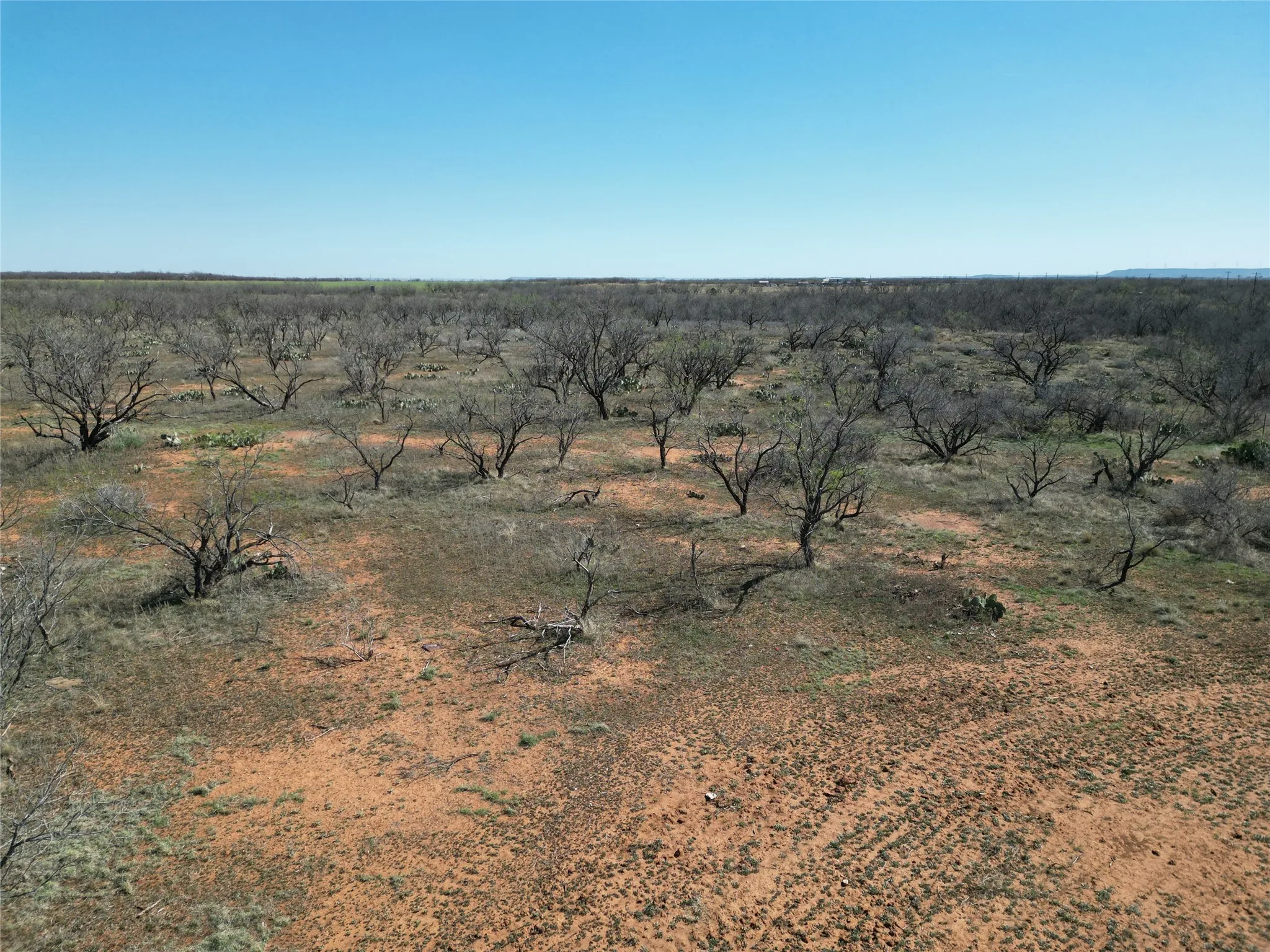 Ranch For Sale in Jones County , TBD PR off of CR 444, Merkel, Texas 79536, 0, 0, Garage spaces, 0 Sqft, built in 0, mls#21209117, Real Estate Agent in Merkel, Homes For Sale in Jones county, Homes For Sale in Merkel, Realtor in Merkel Texas, Real Estate Brokerage Independent Realty Texas, Luminita Cordes Realtor