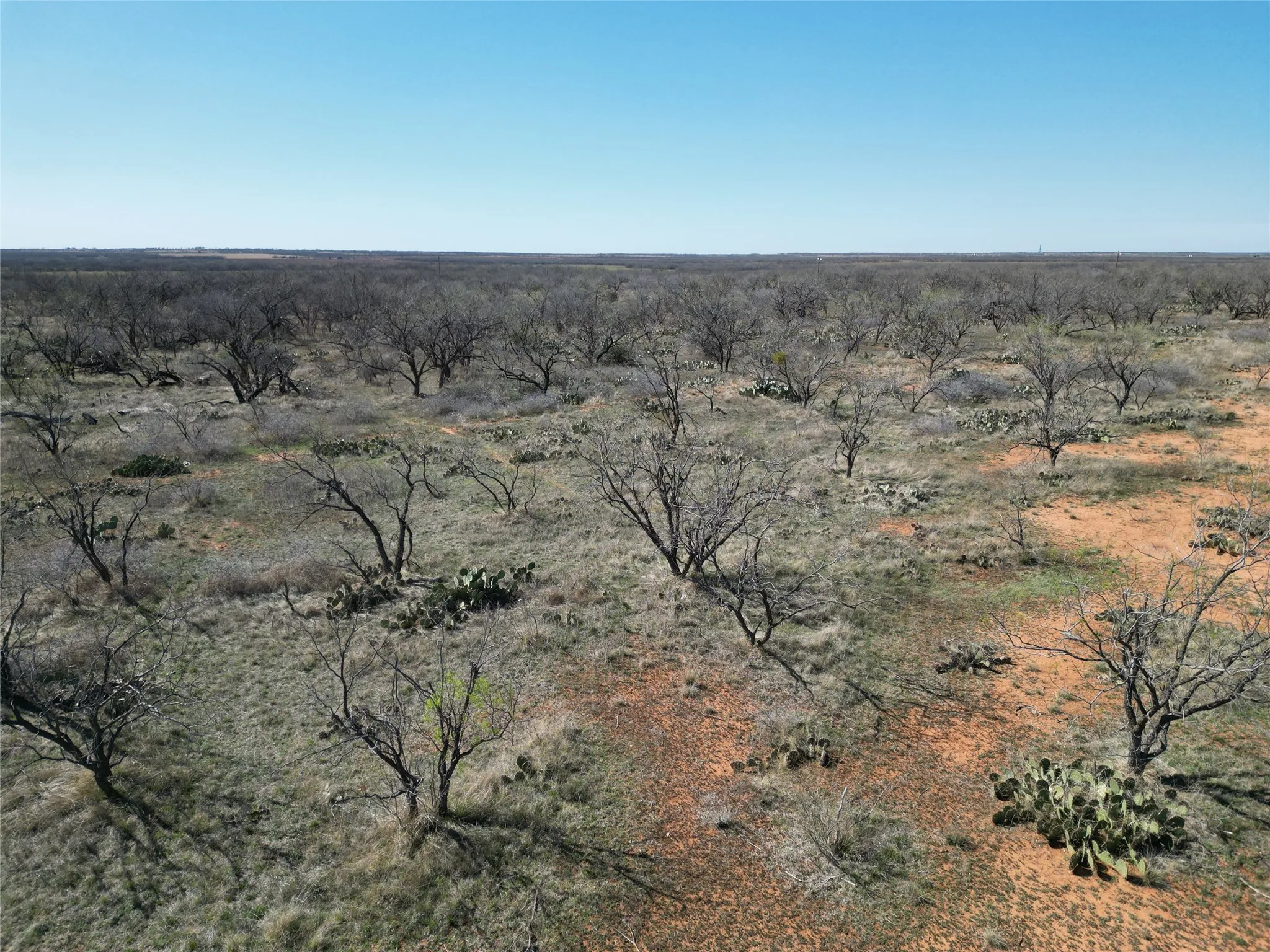 Ranch For Sale in Jones County , TBD PR off of CR 444, Merkel, Texas 79536, 0, 0, Garage spaces, 0 Sqft, built in 0, mls#21209117, Real Estate Agent in Merkel, Homes For Sale in Jones county, Homes For Sale in Merkel, Realtor in Merkel Texas, Real Estate Brokerage Independent Realty Texas, Luminita Cordes Realtor