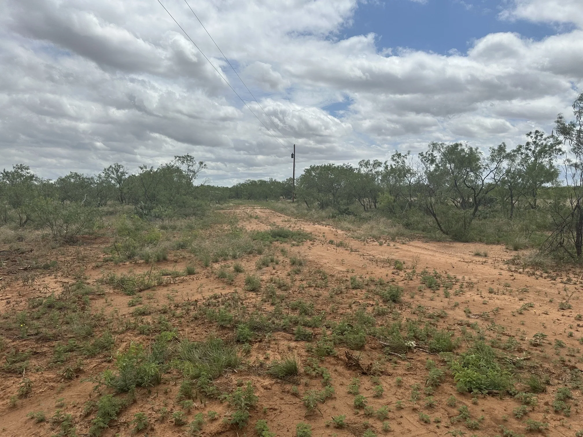 Ranch For Sale in Jones County , TBD PR off of CR 444, Merkel, Texas 79536, 0, 0, Garage spaces, 0 Sqft, built in 0, mls#21209117, Real Estate Agent in Merkel, Homes For Sale in Jones county, Homes For Sale in Merkel, Realtor in Merkel Texas, Real Estate Brokerage Independent Realty Texas, Luminita Cordes Realtor