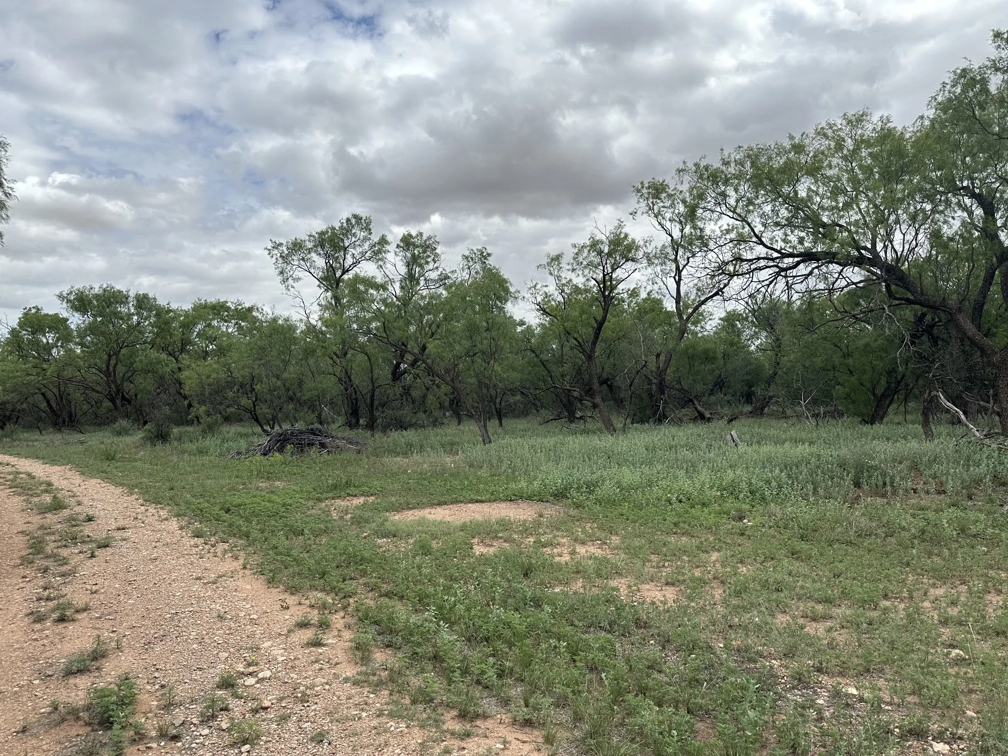 Ranch For Sale in Jones County , TBD PR off of CR 444, Merkel, Texas 79536, 0, 0, Garage spaces, 0 Sqft, built in 0, mls#21209117, Real Estate Agent in Merkel, Homes For Sale in Jones county, Homes For Sale in Merkel, Realtor in Merkel Texas, Real Estate Brokerage Independent Realty Texas, Luminita Cordes Realtor