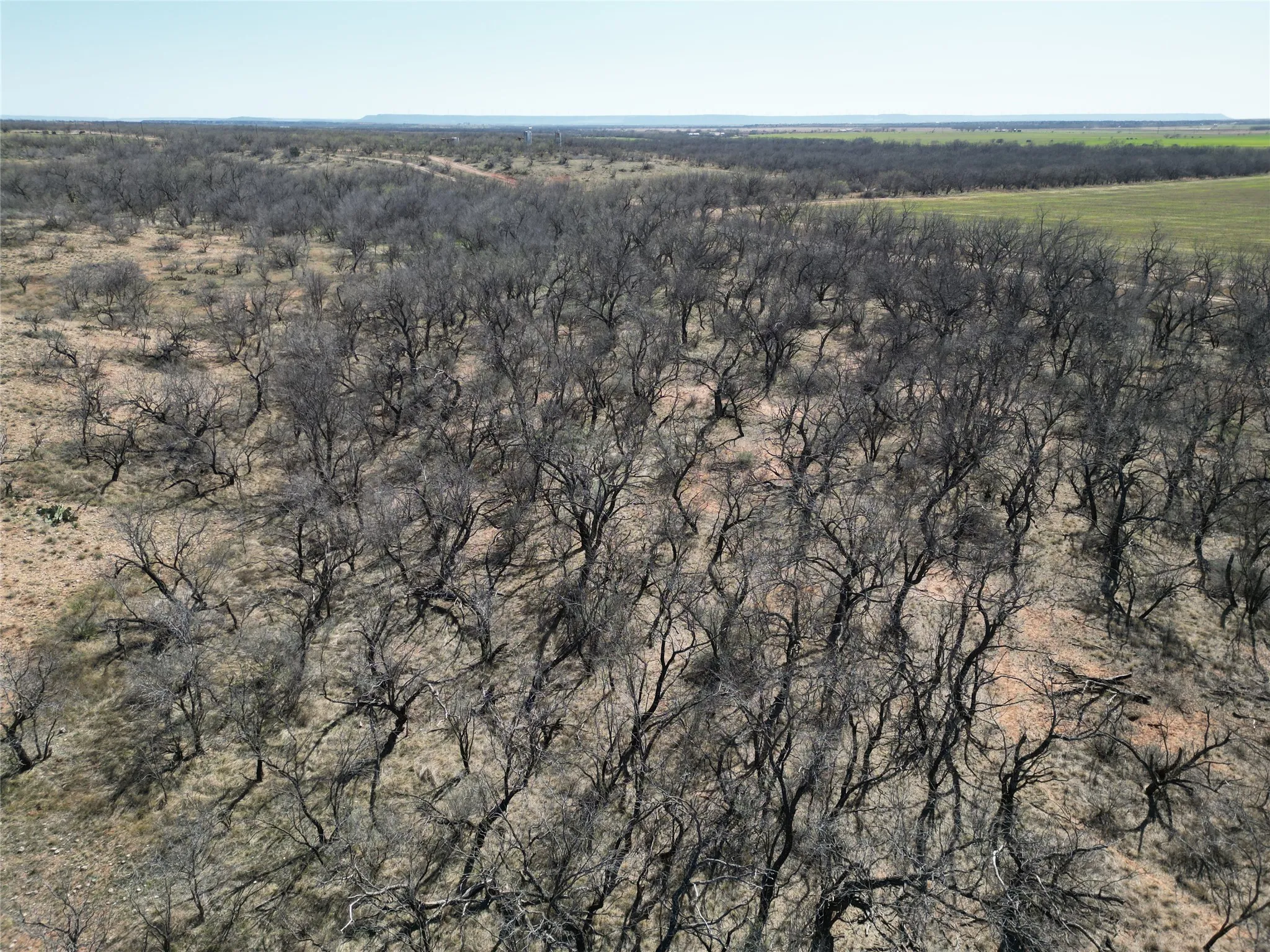 Ranch For Sale in Jones County , TBD PR off of CR 444, Merkel, Texas 79536, 0, 0, Garage spaces, 0 Sqft, built in 0, mls#21209117, Real Estate Agent in Merkel, Homes For Sale in Jones county, Homes For Sale in Merkel, Realtor in Merkel Texas, Real Estate Brokerage Independent Realty Texas, Luminita Cordes Realtor
