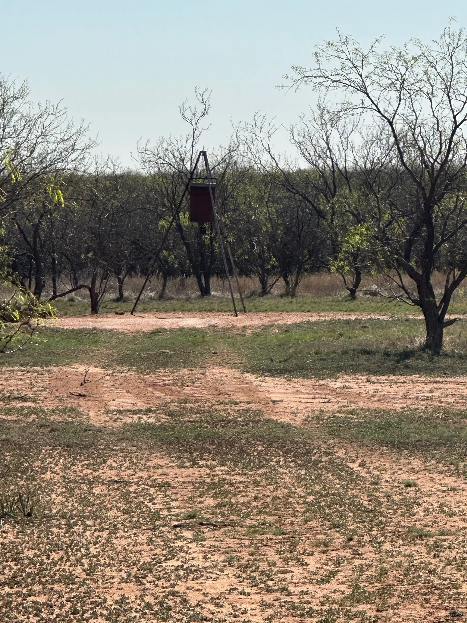 Ranch For Sale in Jones County , TBD PR off of CR 444, Merkel, Texas 79536, 0, 0, Garage spaces, 0 Sqft, built in 0, mls#21209117, Real Estate Agent in Merkel, Homes For Sale in Jones county, Homes For Sale in Merkel, Realtor in Merkel Texas, Real Estate Brokerage Independent Realty Texas, Luminita Cordes Realtor