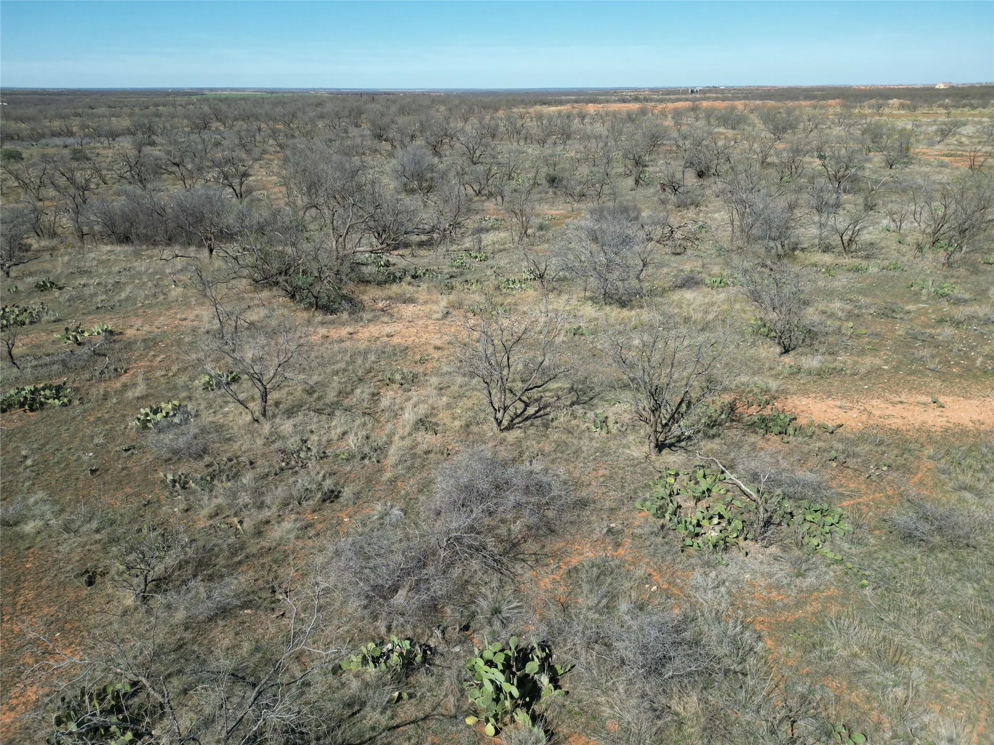 Ranch For Sale in Jones County , TBD PR off of CR 444, Merkel, Texas 79536, 0, 0, Garage spaces, 0 Sqft, built in 0, mls#21209117, Real Estate Agent in Merkel, Homes For Sale in Jones county, Homes For Sale in Merkel, Realtor in Merkel Texas, Real Estate Brokerage Independent Realty Texas, Luminita Cordes Realtor