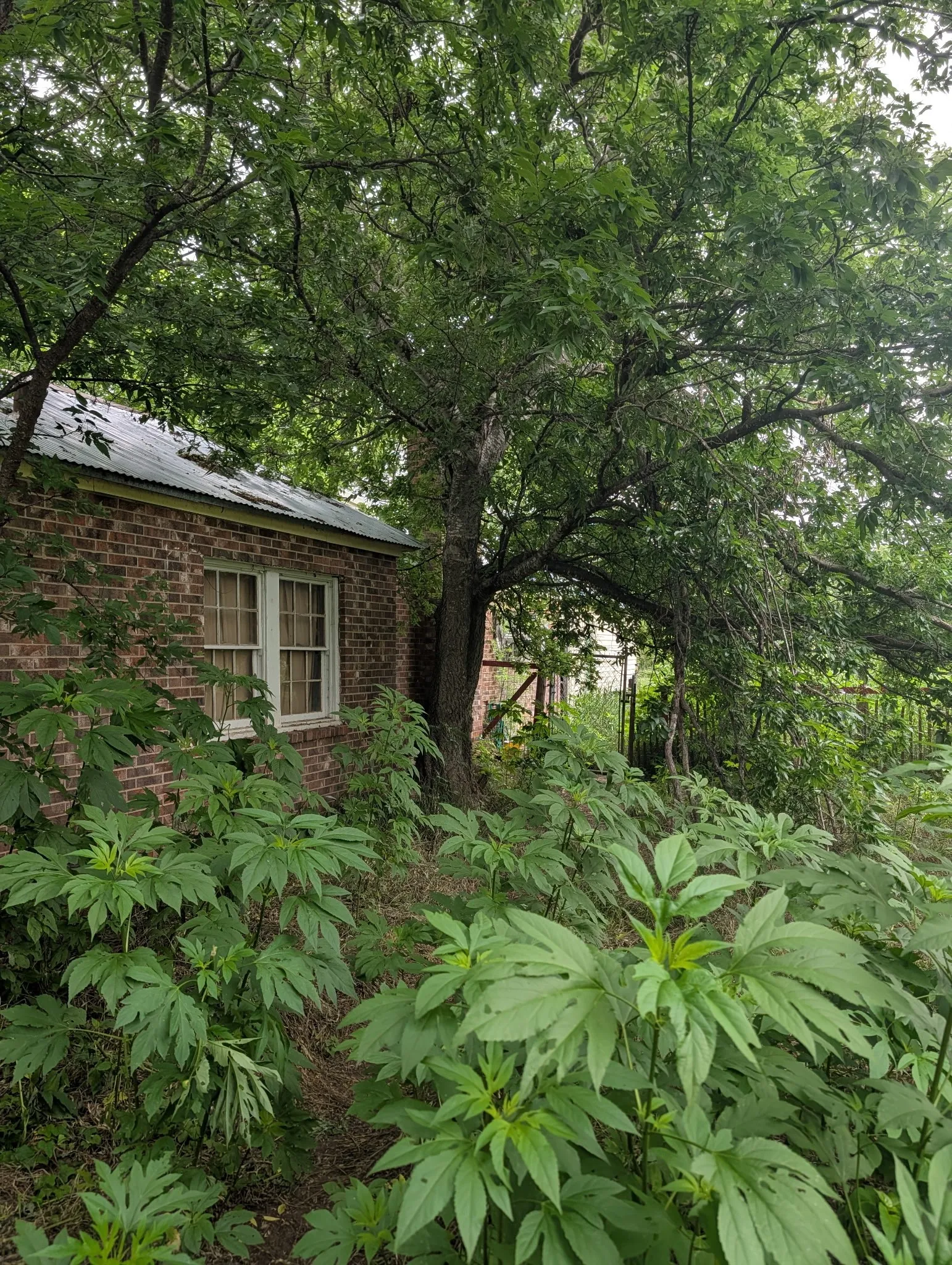 Farm For Sale in Brown County , 602 Avenue H, Blanket, Texas 76432, 3 Bedrooms, 2 Bathrooms, Garage spaces, 1,412 Sqft, built in 0, Preowned, Price $85,000, mls#21209726, Real Estate Agent in Blanket, Homes For Sale in Brown county, Homes For Sale in Blanket, Realtor in Blanket Texas, Real Estate Brokerage Independent Realty Texas, Luminita Cordes Realtor