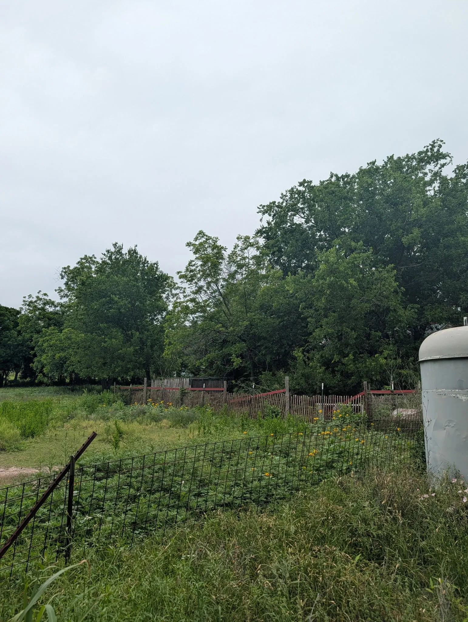 Farm For Sale in Brown County , 602 Avenue H, Blanket, Texas 76432, 3 Bedrooms, 2 Bathrooms, Garage spaces, 1,412 Sqft, built in 0, Preowned, Price $85,000, mls#21209726, Real Estate Agent in Blanket, Homes For Sale in Brown county, Homes For Sale in Blanket, Realtor in Blanket Texas, Real Estate Brokerage Independent Realty Texas, Luminita Cordes Realtor