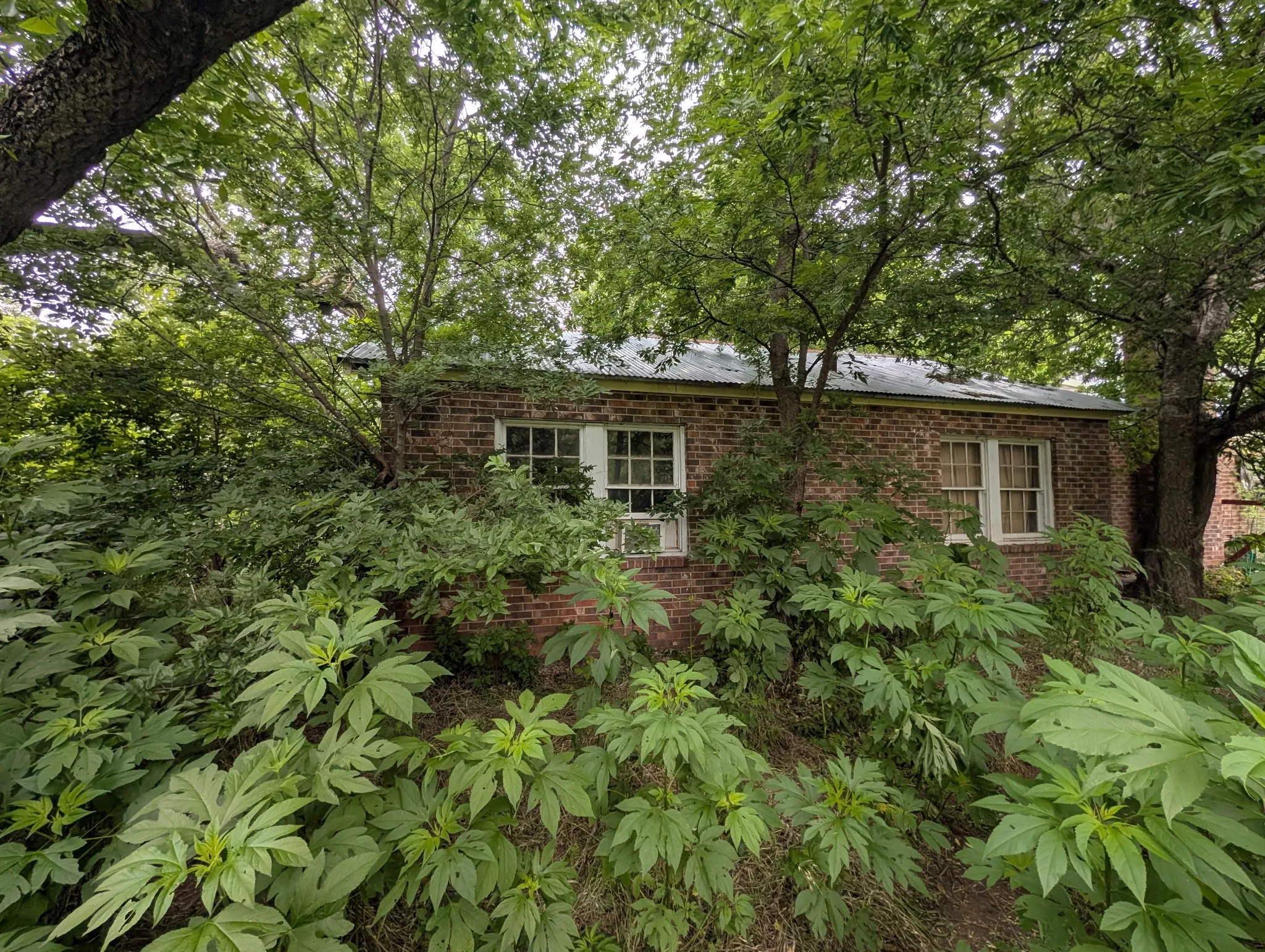 Farm For Sale in Brown County , 602 Avenue H, Blanket, Texas 76432, 3 Bedrooms, 2 Bathrooms, Garage spaces, 1,412 Sqft, built in 0, Preowned, Price $85,000, mls#21209726, Real Estate Agent in Blanket, Homes For Sale in Brown county, Homes For Sale in Blanket, Realtor in Blanket Texas, Real Estate Brokerage Independent Realty Texas, Luminita Cordes Realtor