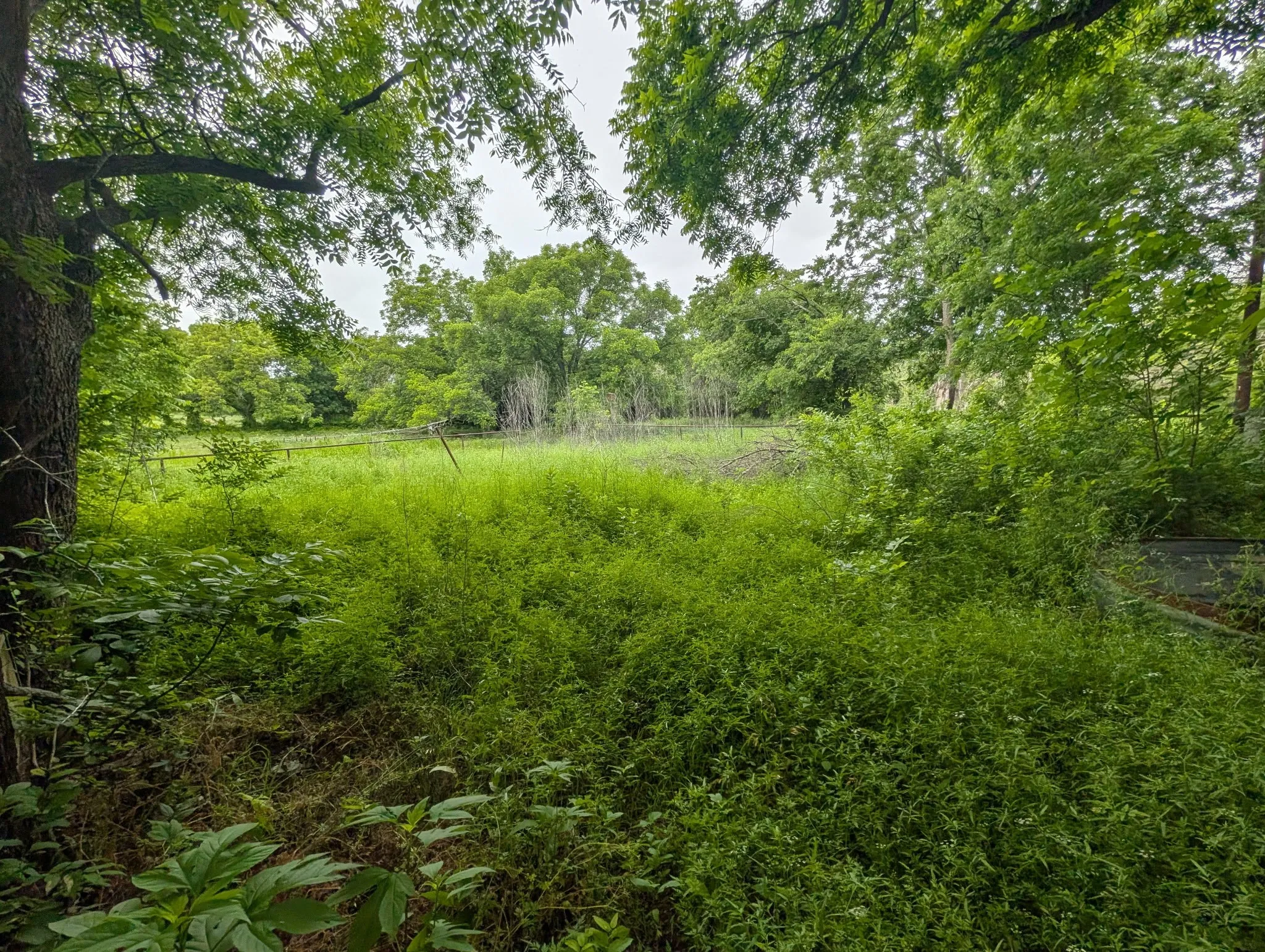 Farm For Sale in Brown County , 602 Avenue H, Blanket, Texas 76432, 3 Bedrooms, 2 Bathrooms, Garage spaces, 1,412 Sqft, built in 0, Preowned, Price $85,000, mls#21209726, Real Estate Agent in Blanket, Homes For Sale in Brown county, Homes For Sale in Blanket, Realtor in Blanket Texas, Real Estate Brokerage Independent Realty Texas, Luminita Cordes Realtor