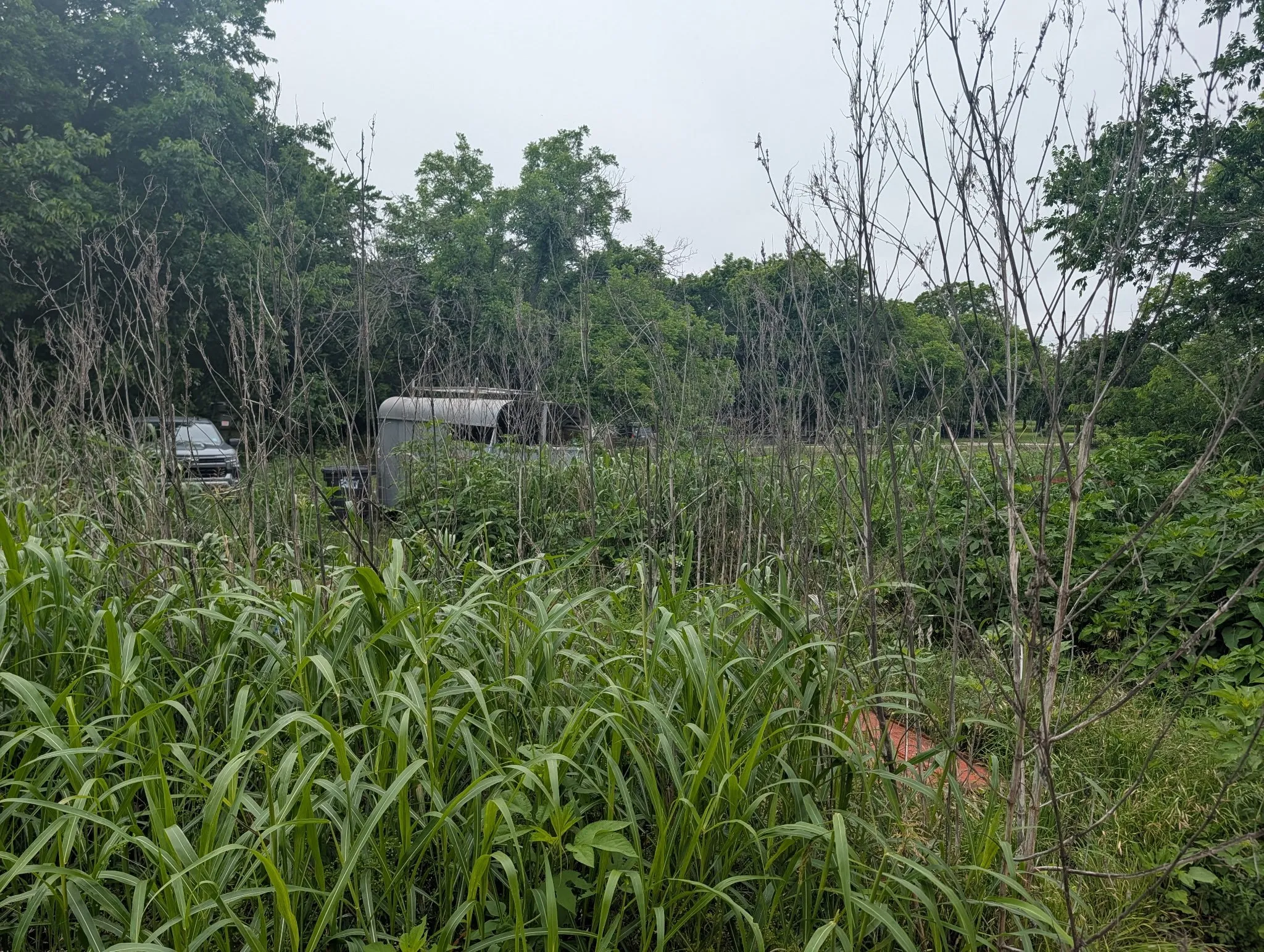 Farm For Sale in Brown County , 602 Avenue H, Blanket, Texas 76432, 3 Bedrooms, 2 Bathrooms, Garage spaces, 1,412 Sqft, built in 0, Preowned, Price $85,000, mls#21209726, Real Estate Agent in Blanket, Homes For Sale in Brown county, Homes For Sale in Blanket, Realtor in Blanket Texas, Real Estate Brokerage Independent Realty Texas, Luminita Cordes Realtor