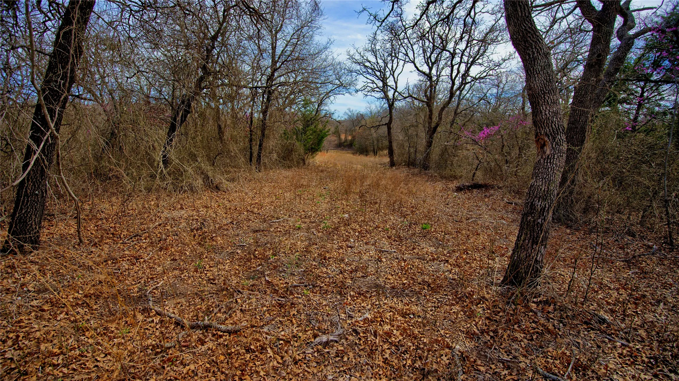 Unimproved Land For Sale in Montague County , 1887 Red Oak Hills Road, Nocona, Texas 76255, 0, 0, Garage spaces, 0 Sqft, built in 0, Price $69,900, mls#21208911, Real Estate Agent in Nocona, Homes For Sale in Montague county, Homes For Sale in Nocona, Realtor in Nocona Texas, Real Estate Brokerage Independent Realty Texas, Luminita Cordes Realtor