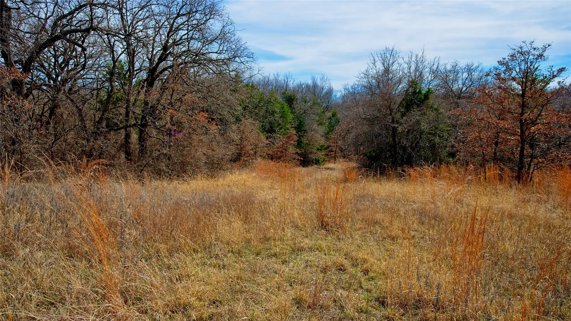 Unimproved Land For Sale in Montague County , 1887 Red Oak Hills Road, Nocona, Texas 76255, 0, 0, Garage spaces, 0 Sqft, built in 0, Price $69,900, mls#21208911, Real Estate Agent in Nocona, Homes For Sale in Montague county, Homes For Sale in Nocona, Realtor in Nocona Texas, Real Estate Brokerage Independent Realty Texas, Luminita Cordes Realtor