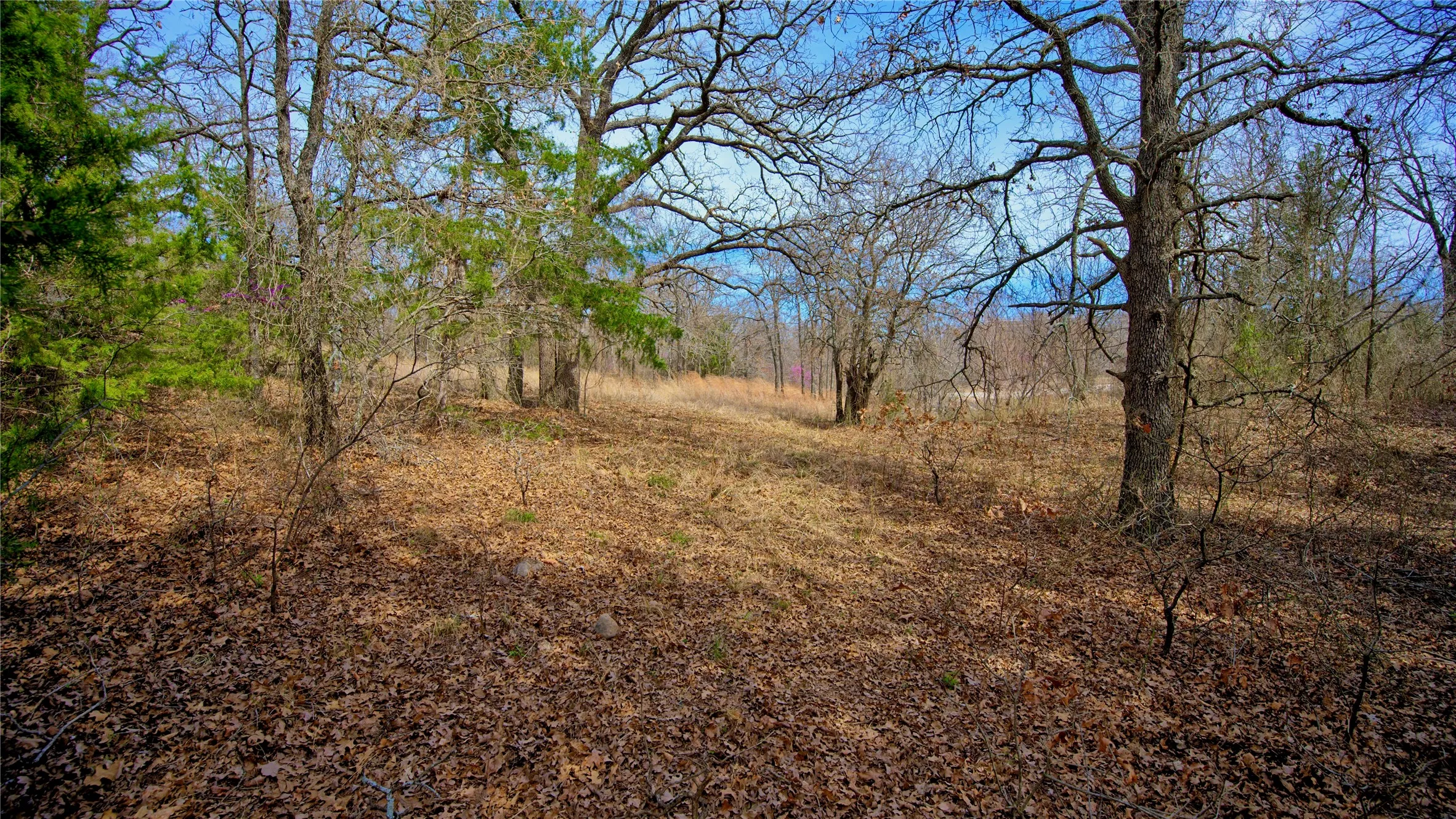 Unimproved Land For Sale in Montague County , 1887 Red Oak Hills Road, Nocona, Texas 76255, 0, 0, Garage spaces, 0 Sqft, built in 0, Price $69,900, mls#21208911, Real Estate Agent in Nocona, Homes For Sale in Montague county, Homes For Sale in Nocona, Realtor in Nocona Texas, Real Estate Brokerage Independent Realty Texas, Luminita Cordes Realtor