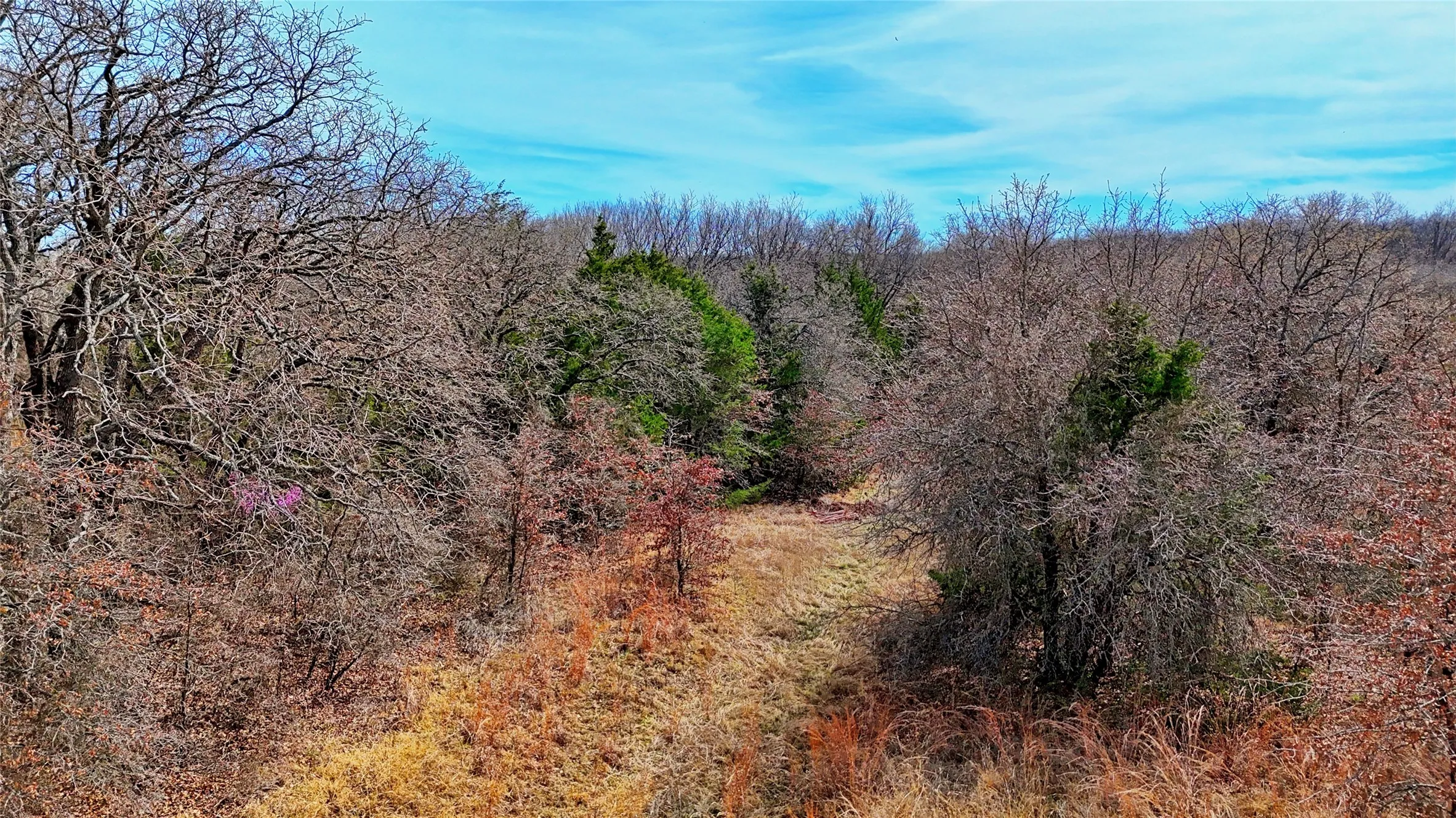 Unimproved Land For Sale in Montague County , 1887 Red Oak Hills Road, Nocona, Texas 76255, 0, 0, Garage spaces, 0 Sqft, built in 0, Price $69,900, mls#21208911, Real Estate Agent in Nocona, Homes For Sale in Montague county, Homes For Sale in Nocona, Realtor in Nocona Texas, Real Estate Brokerage Independent Realty Texas, Luminita Cordes Realtor