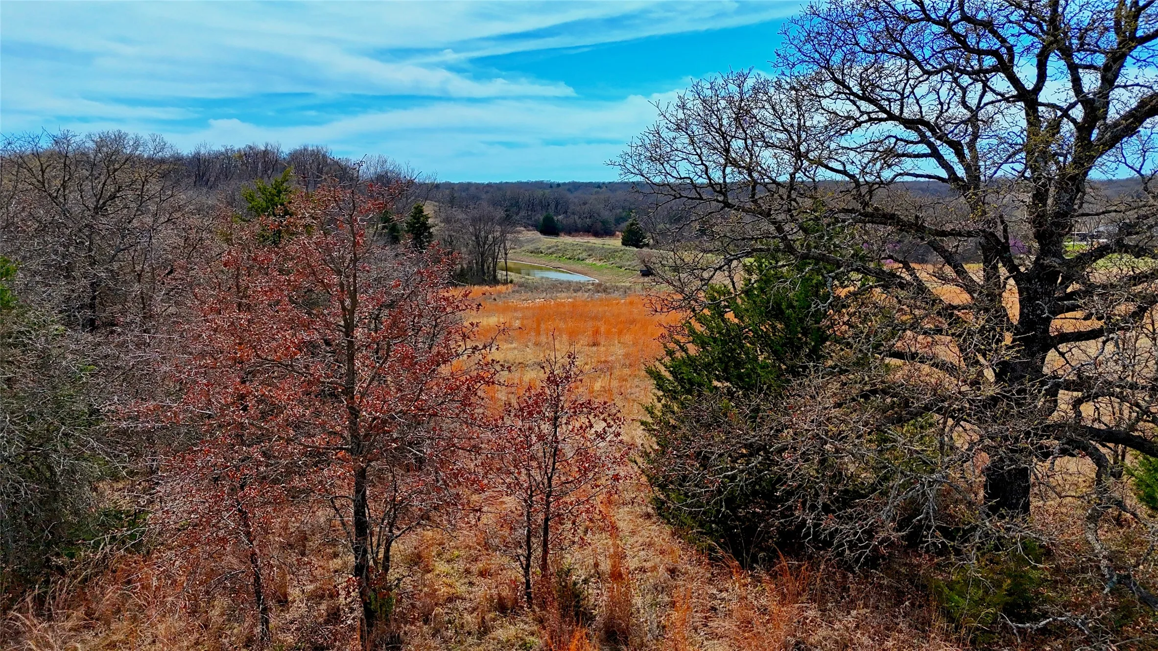 Unimproved Land For Sale in Montague County , 1887 Red Oak Hills Road, Nocona, Texas 76255, 0, 0, Garage spaces, 0 Sqft, built in 0, Price $69,900, mls#21208911, Real Estate Agent in Nocona, Homes For Sale in Montague county, Homes For Sale in Nocona, Realtor in Nocona Texas, Real Estate Brokerage Independent Realty Texas, Luminita Cordes Realtor