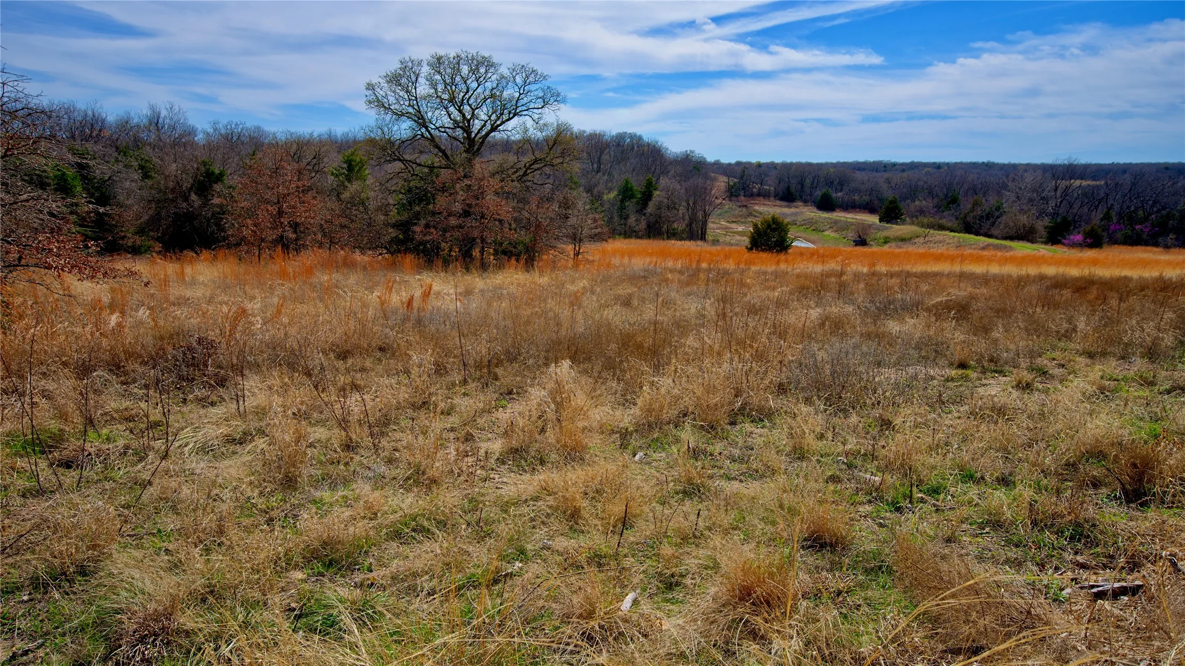 Unimproved Land For Sale in Montague County , 1887 Red Oak Hills Road, Nocona, Texas 76255, 0, 0, Garage spaces, 0 Sqft, built in 0, Price $69,900, mls#21208911, Real Estate Agent in Nocona, Homes For Sale in Montague county, Homes For Sale in Nocona, Realtor in Nocona Texas, Real Estate Brokerage Independent Realty Texas, Luminita Cordes Realtor